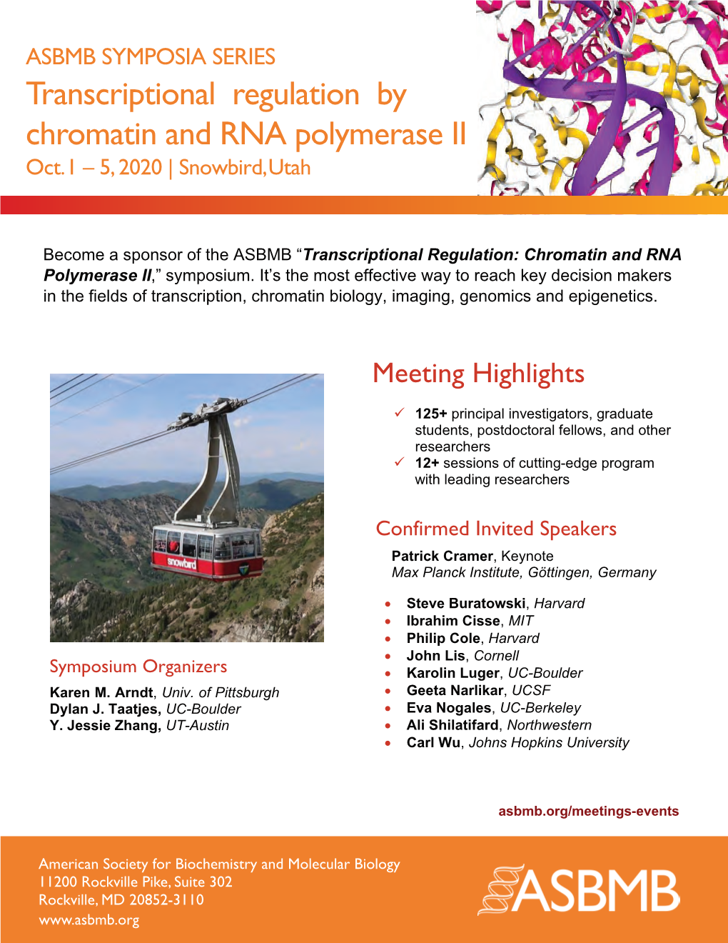 Transcriptional Regulation by Chromatin and RNA Polymerase II Oct