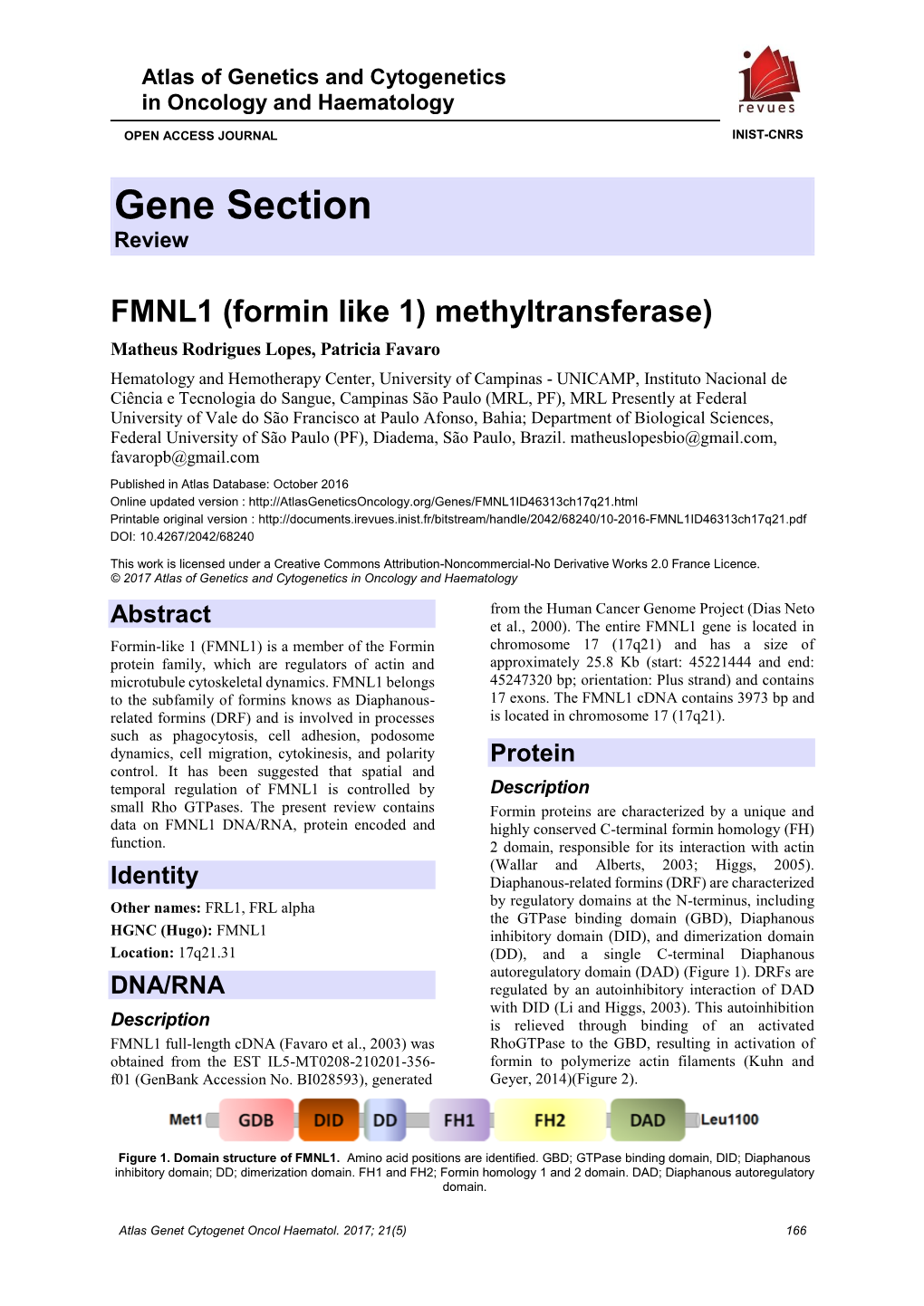 Gene Section Review