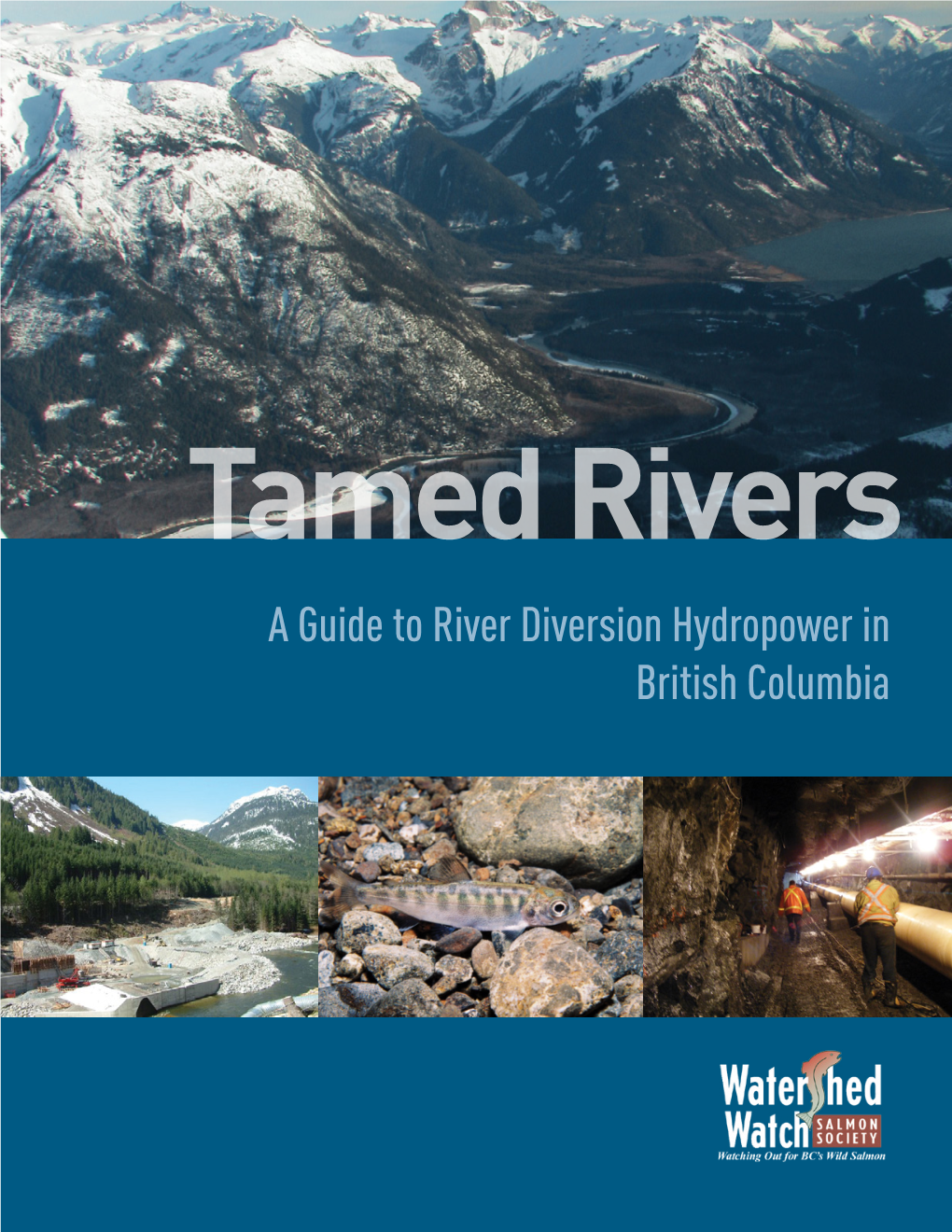 Tamed Rivers | a Guide to River Diversion Hydropower in British Columbia Table of Contents
