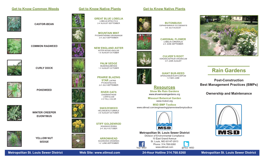 Rain Garden Brochure