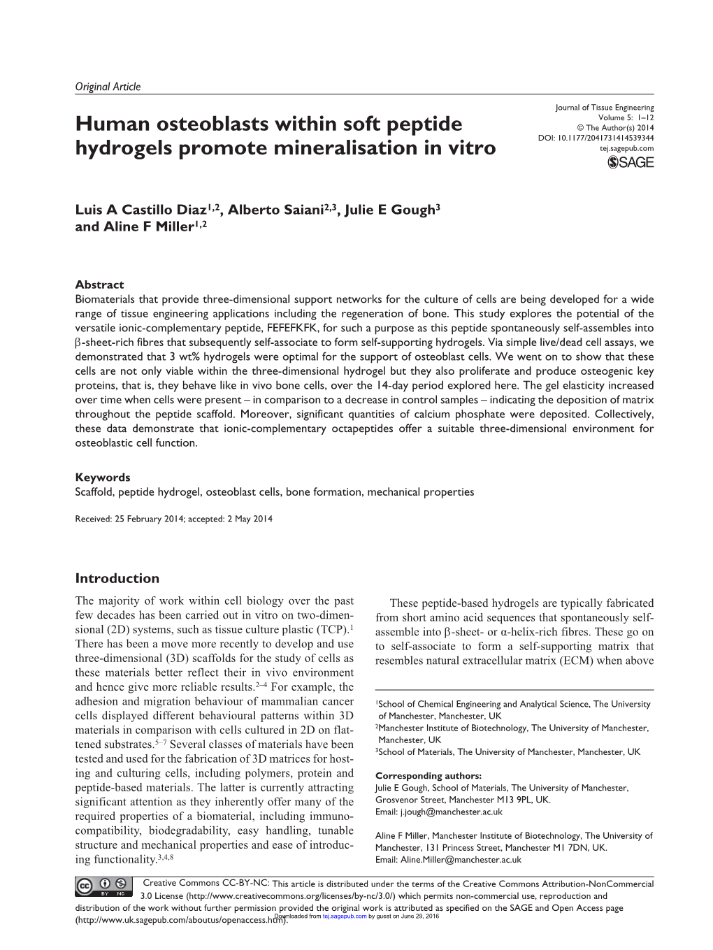 Human Osteoblasts Within Soft Peptide Hydrogels Promote Mineralisation In
