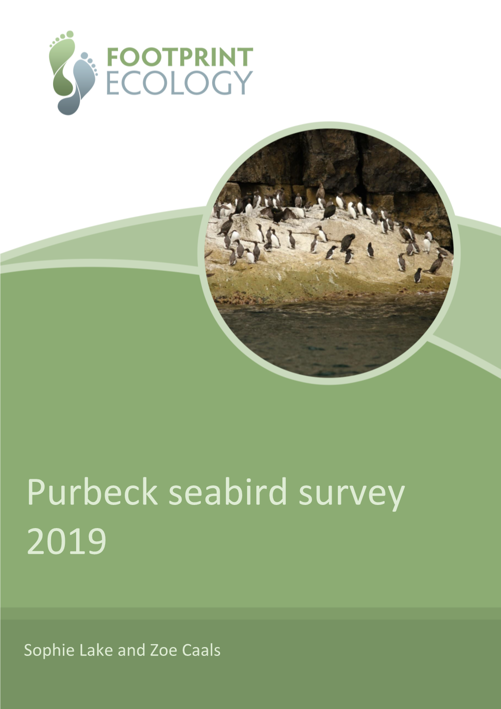Purbeck Seabird Survey 2019