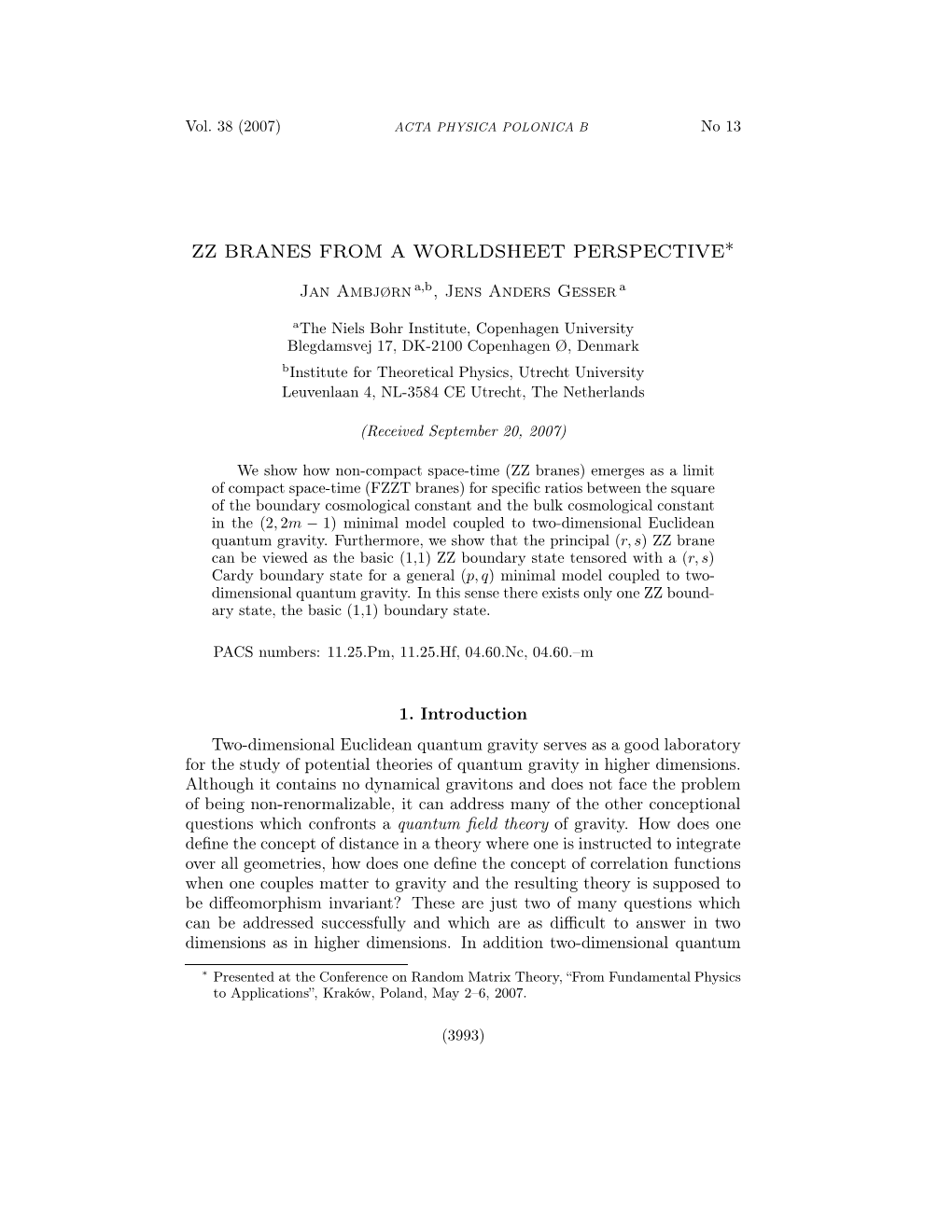 Zz Branes from a Worldsheet Perspective∗