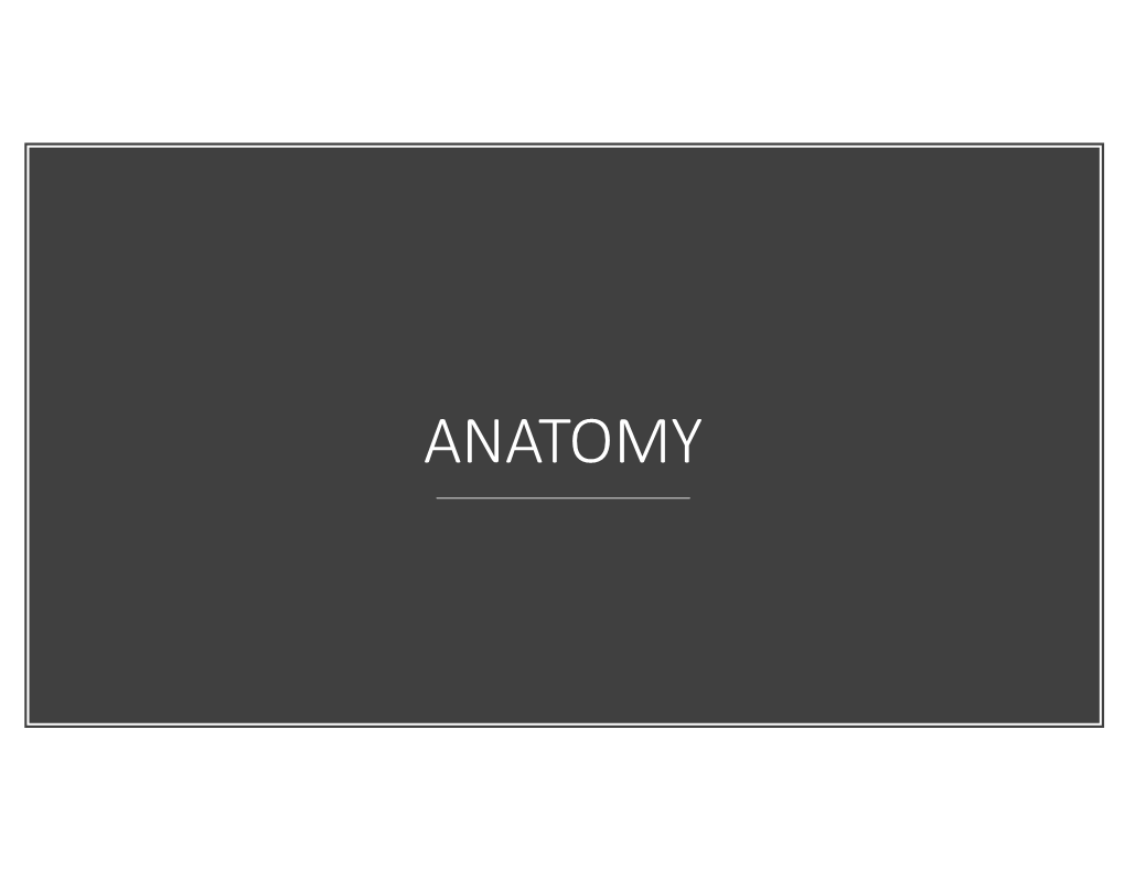 Anatomy Anatomy