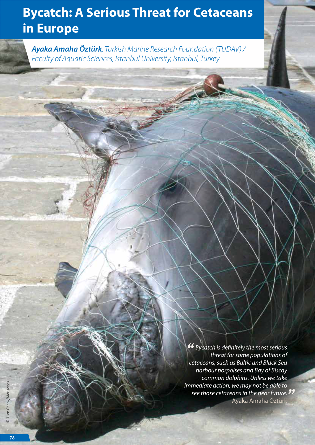 Bycatch: a Serious Threat for Cetaceans in Europe