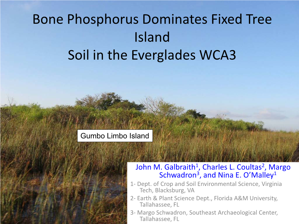 Bone Phosphorus Dominates Fixed Tree Island Soil in the Everglades WCA3