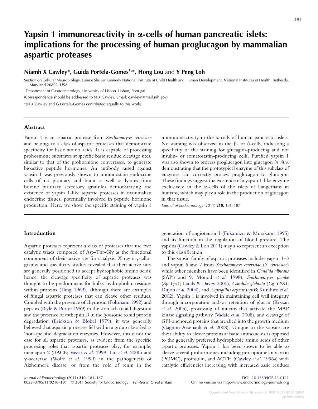 Yapsin 1 Immunoreactivity in A-Cells of Human Pancreatic Islets: Implications for the Processing of Human Proglucagon by Mammalian Aspartic Proteases