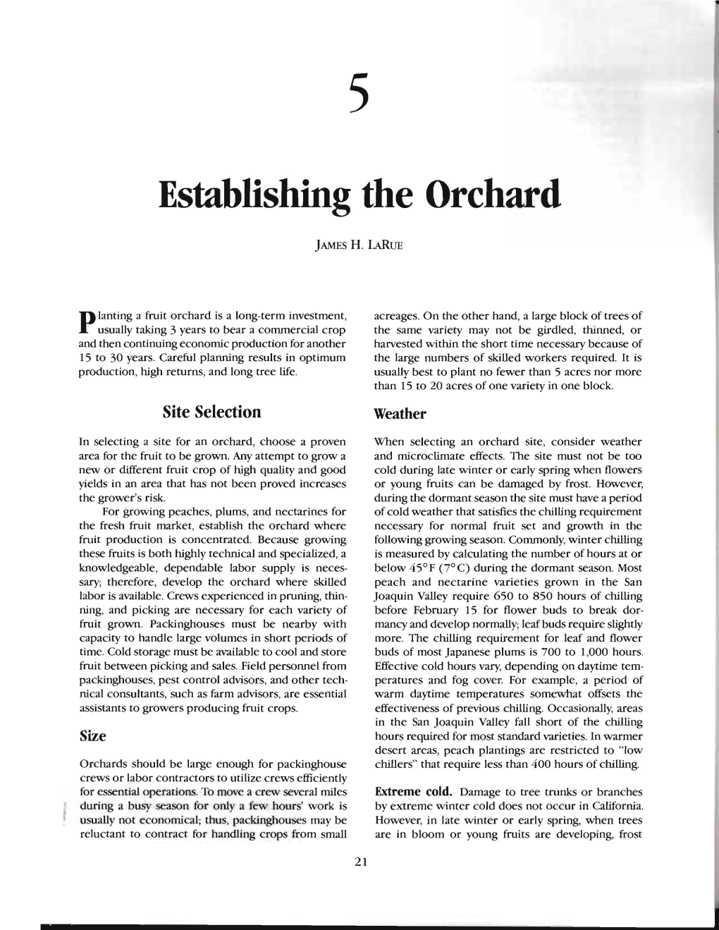 Establishing the Orchard