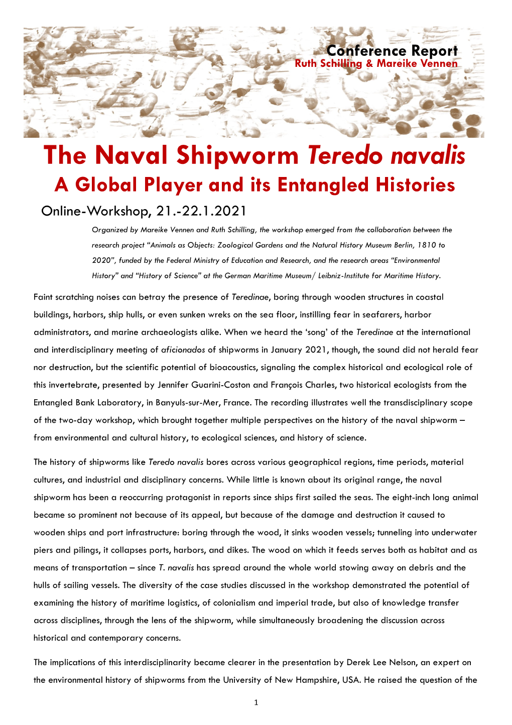 The Naval Shipworm Teredo Navalis