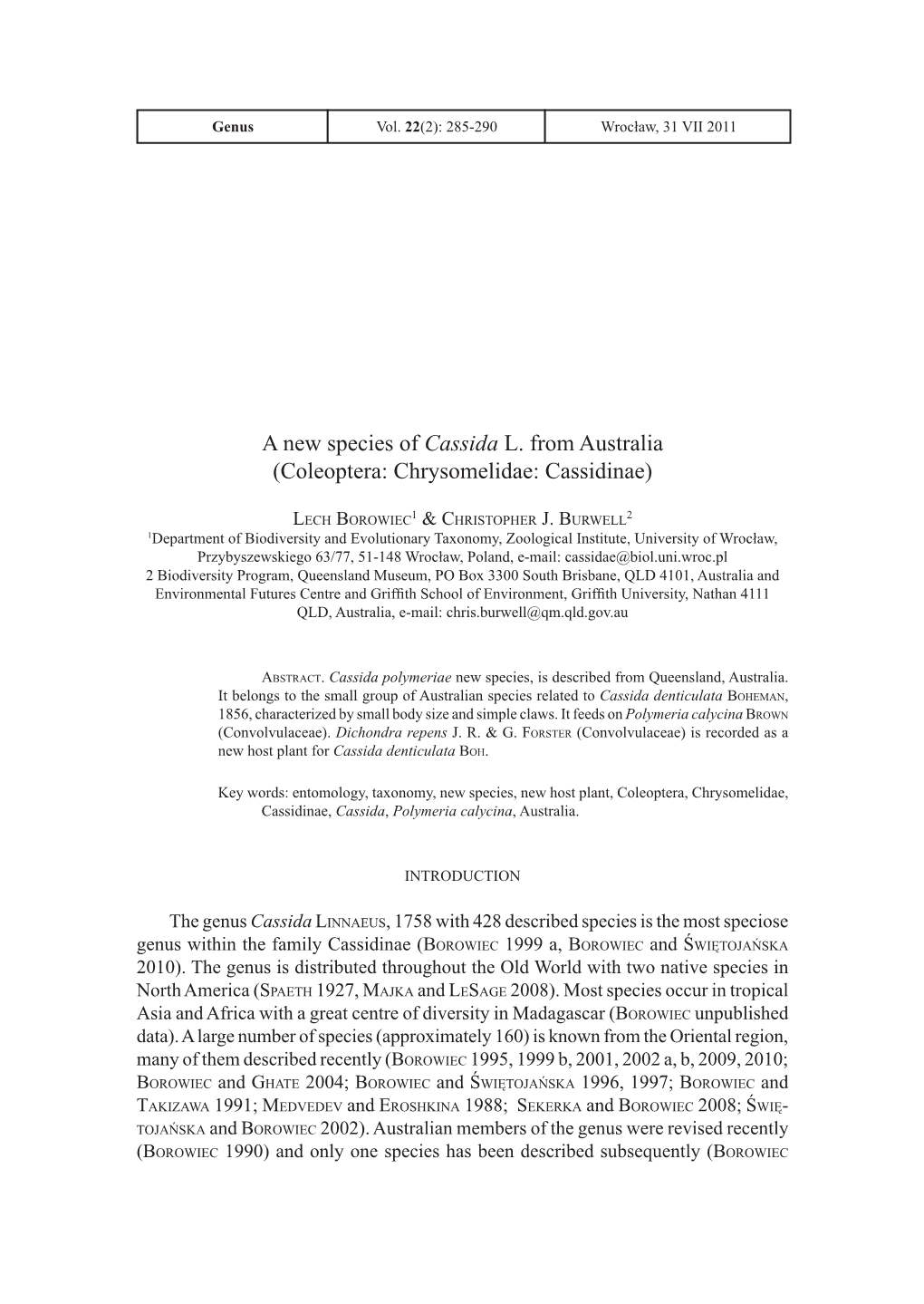 A New Species of Cassida L. from Australia (Coleoptera: Chrysomelidae: Cassidinae)