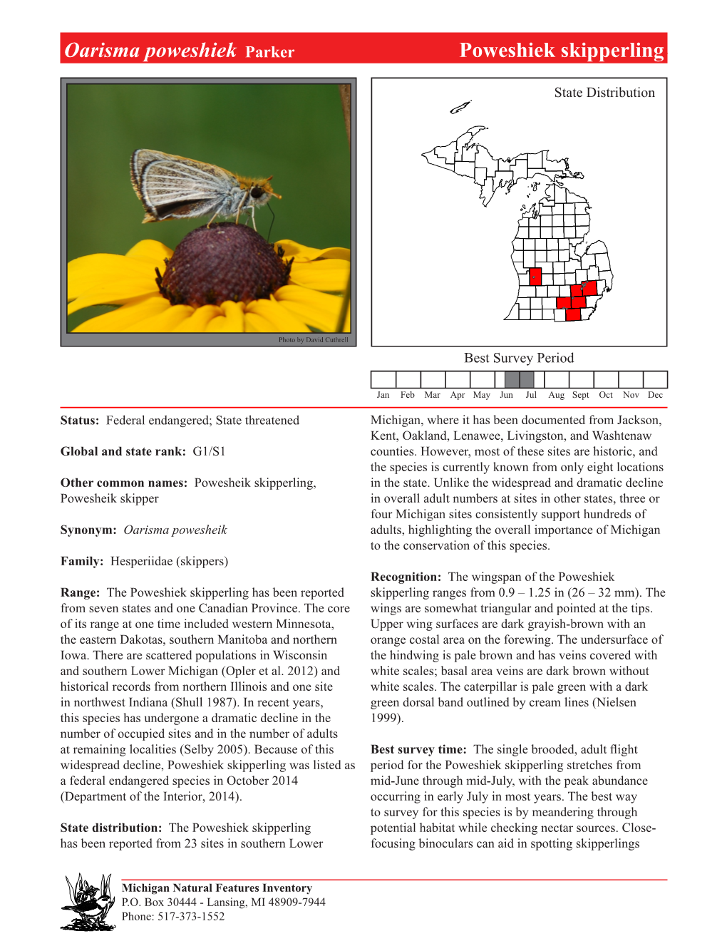 Oarisma Poweshiek Parker Poweshiekpoweshiek Skipperling Skipperling, Page 1