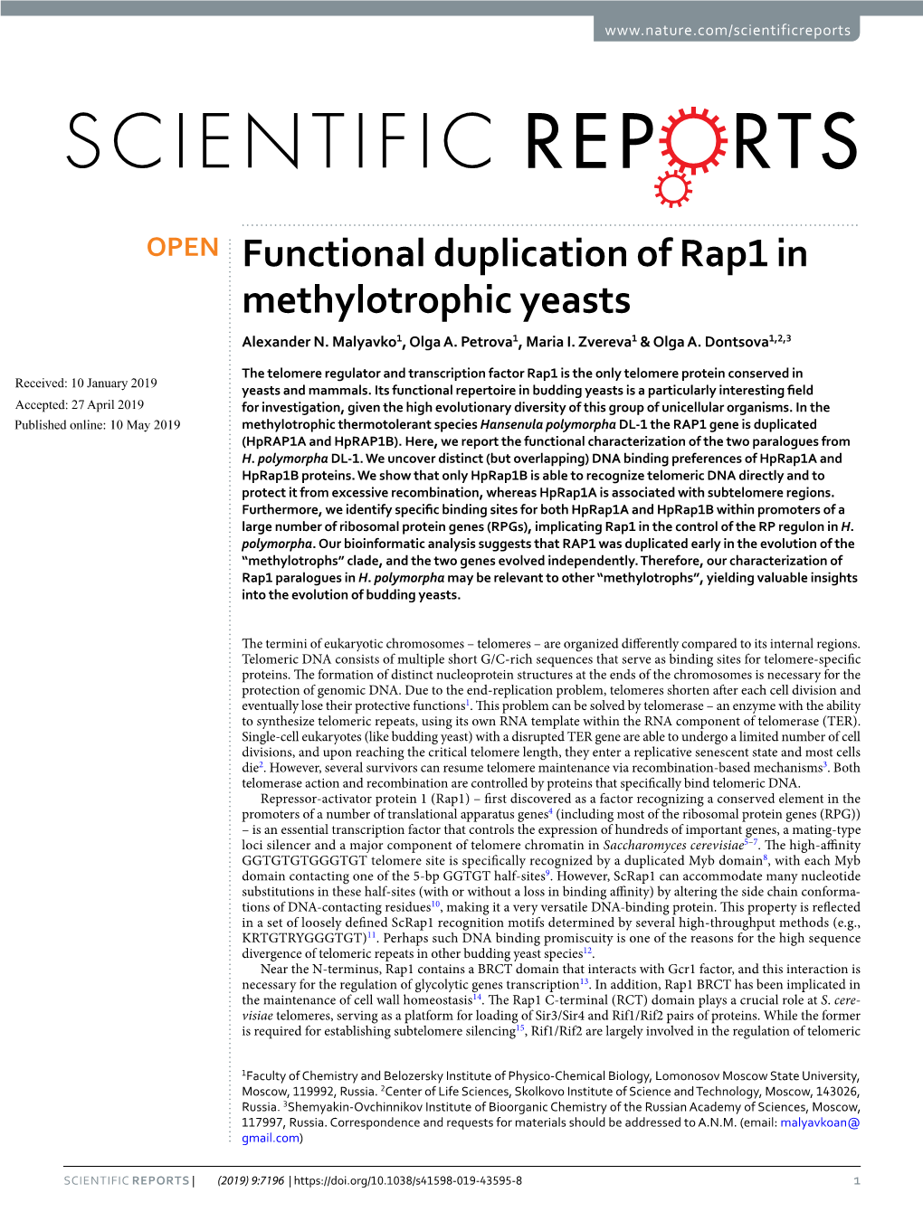 Functional Duplication of Rap1 in Methylotrophic Yeasts Alexander N