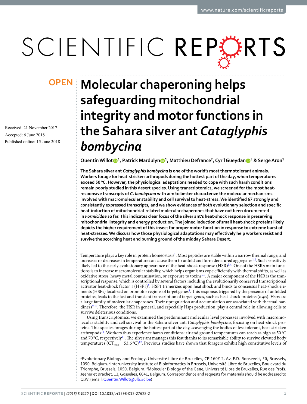 Molecular Chaperoning Helps Safeguarding Mitochondrial Integrity