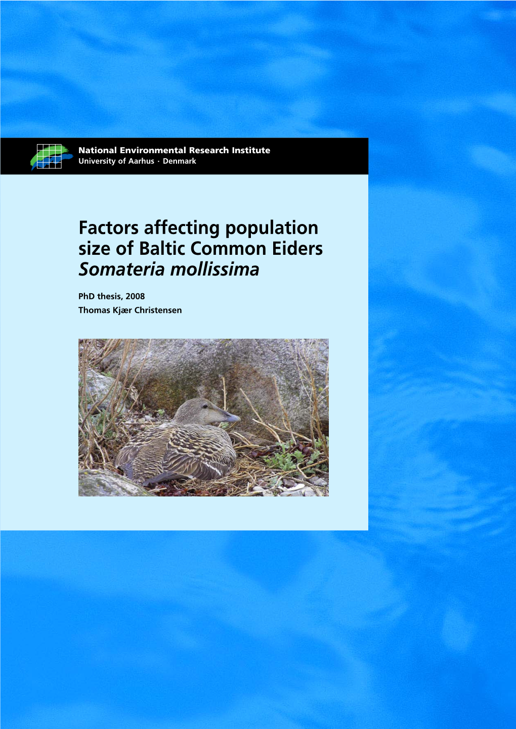 Factors Affecting Population Size of Baltic Common Eiders Somateria Mollissima