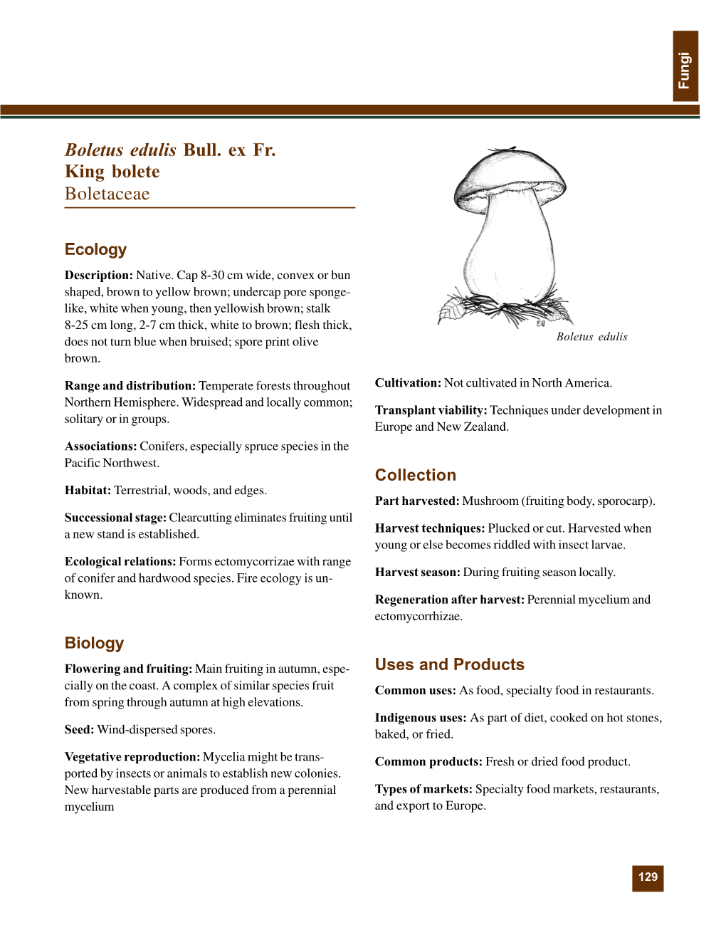 Boletus Edulis Bull. Ex Fr. King Bolete Boletaceae