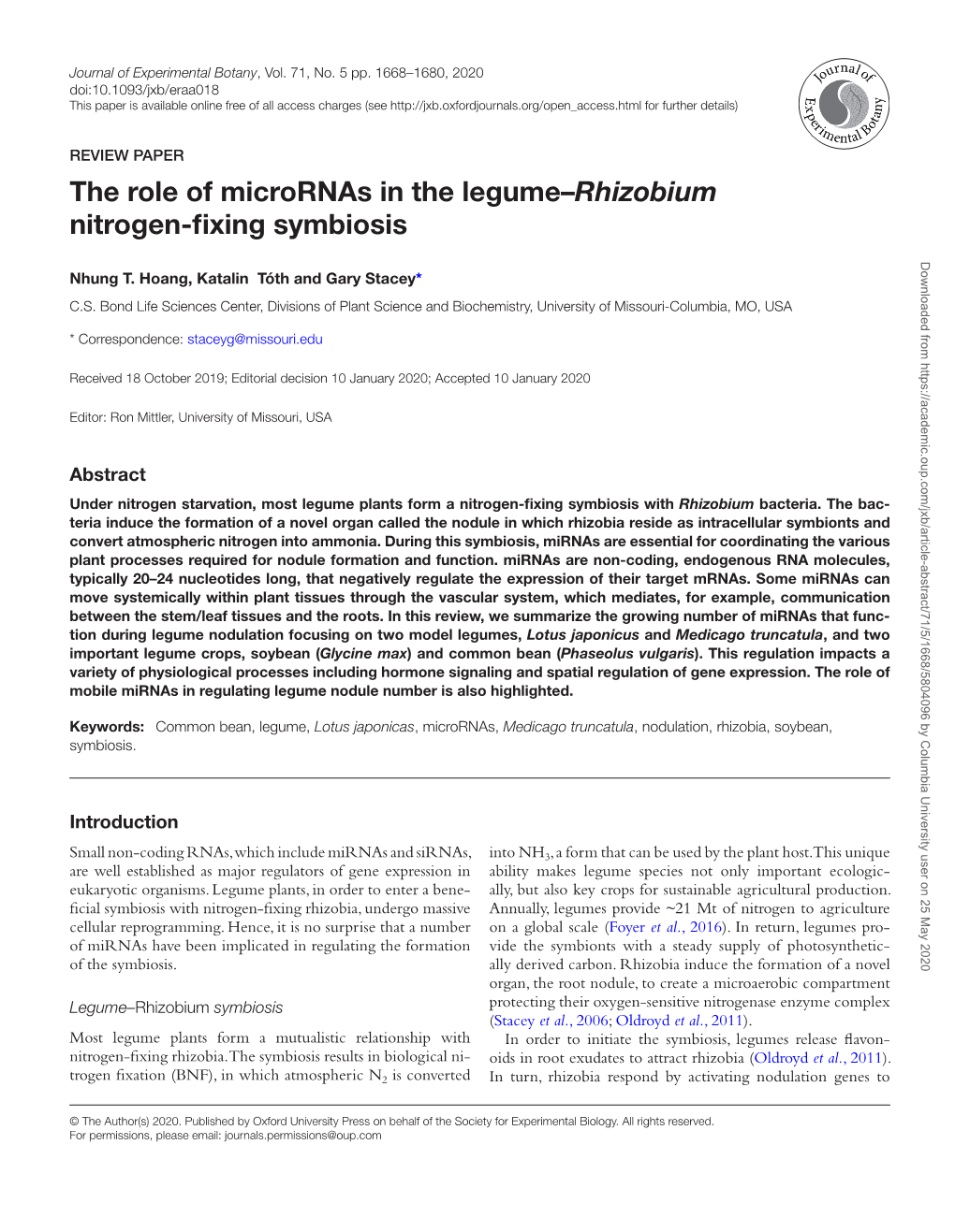 The Role of Micrornas in the Legume–Rhizobium Nitrogen-Fixing Symbiosis