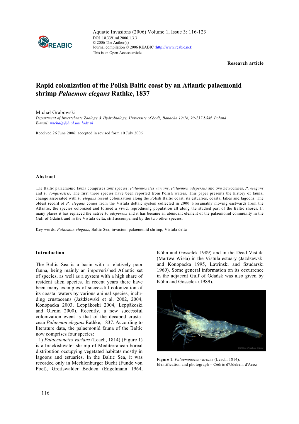 Rapid Colonization of the Polish Baltic Coast by an Atlantic Palaemonid Shrimp Palaemon Elegans Rathke, 1837