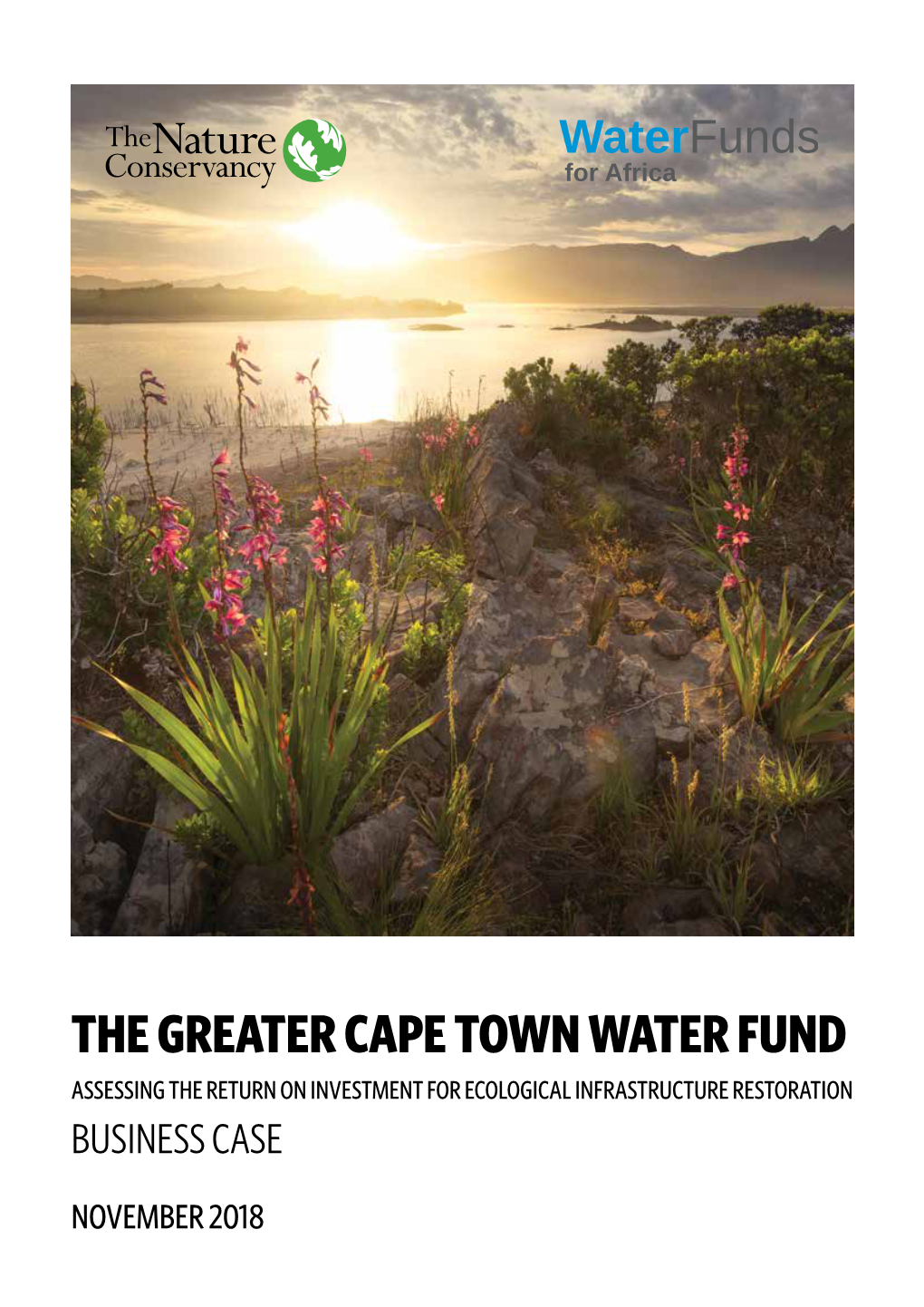 The Greater Cape Town Water Fund Assessing the Return on Investment for Ecological Infrastructure Restoration Business Case