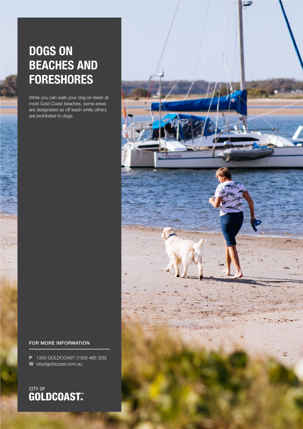 Dogs on Beaches and Foreshores