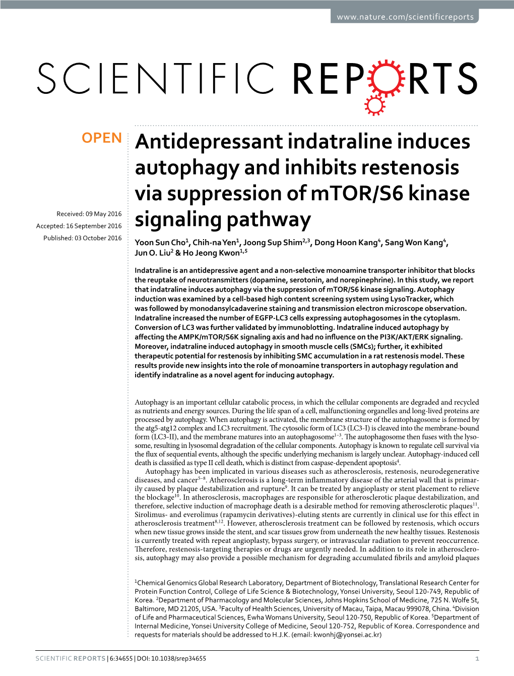 Antidepressant Indatraline Induces Autophagy and Inhibits Restenosis