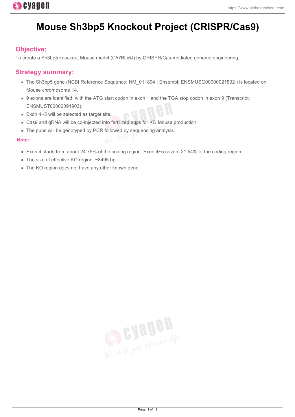 Mouse Sh3bp5 Knockout Project (CRISPR/Cas9)