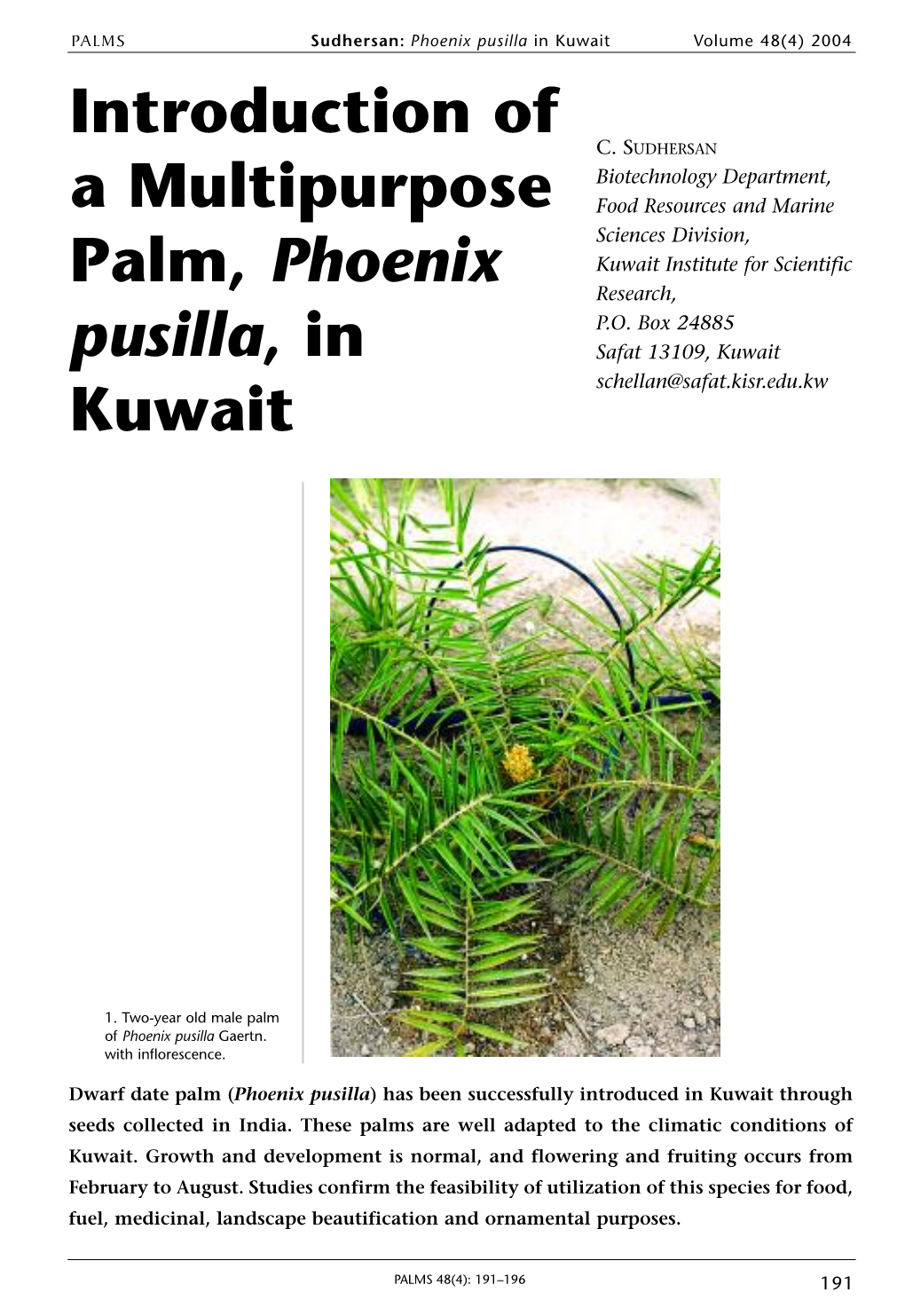 Introduction of a Multipurpose Palm, Phoenix Pusilla, in Kuwait