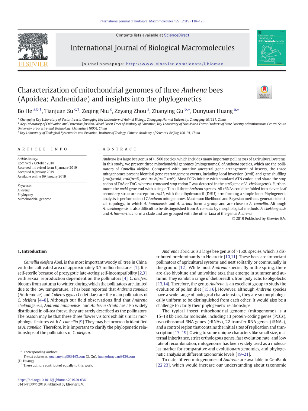 Characterization of Mitochondrial Genomes of Three Andrena Bees (Apoidea: Andrenidae) and Insights Into the Phylogenetics