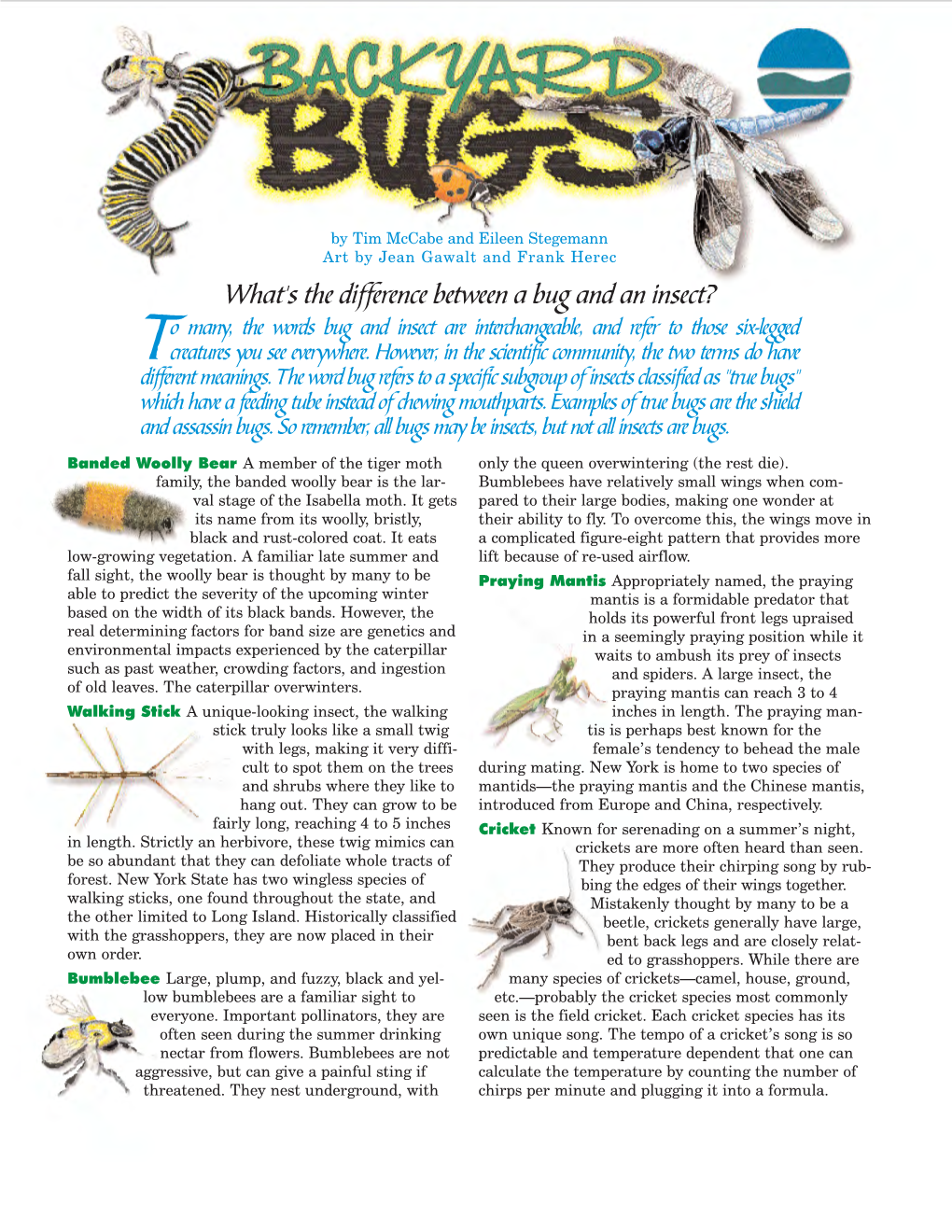 To Many, the Words Bug and Insect Are Interchangeable, and Refer to Those Six-Legged