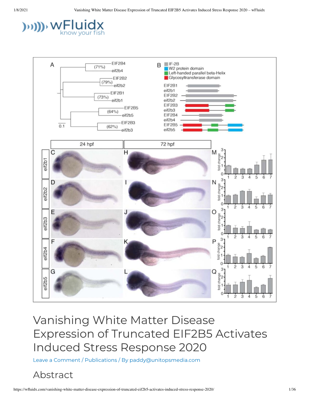 Vanishing White Matter Disease Expression of Truncated EIF2B5 Activates Induced Stress Response 2020 – Wfluidx