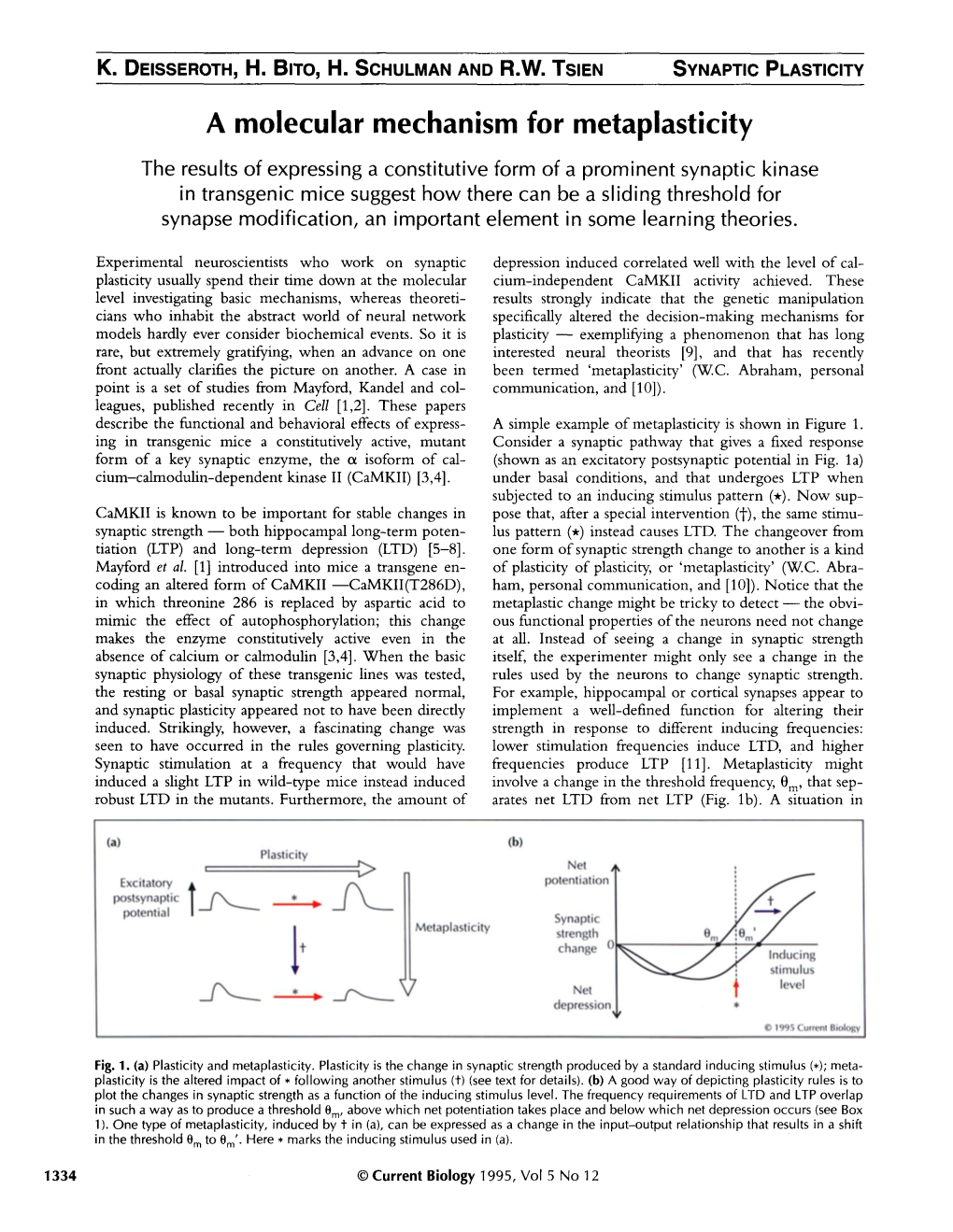 A Molecular Mechanism for Metaplasticity