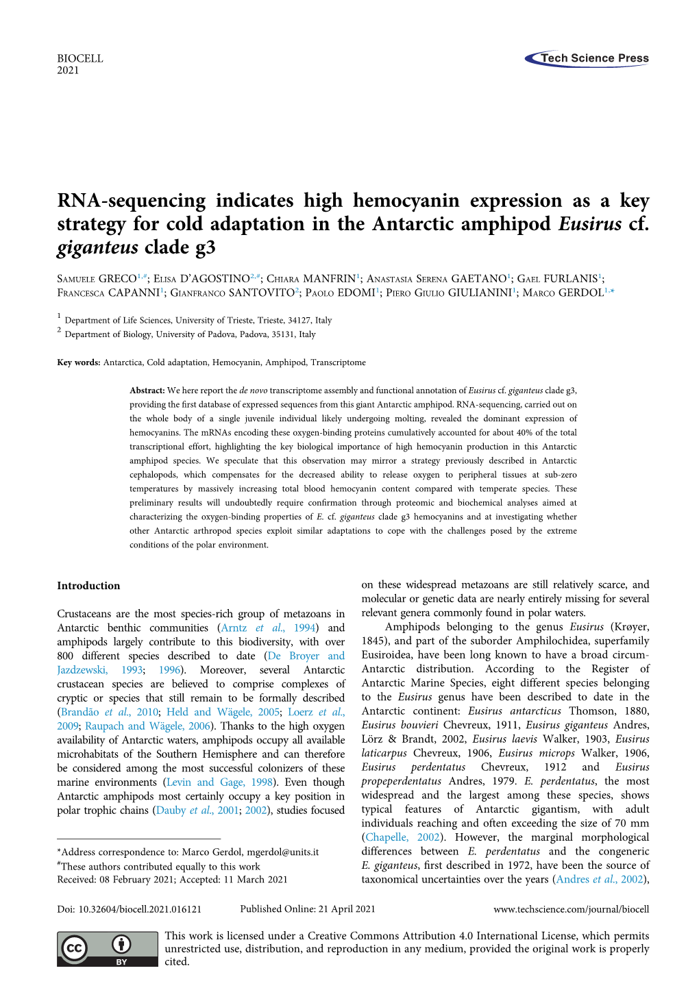 RNA-Sequencing Indicates High Hemocyanin Expression As a Key Strategy for Cold Adaptation in the Antarctic Amphipod Eusirus Cf