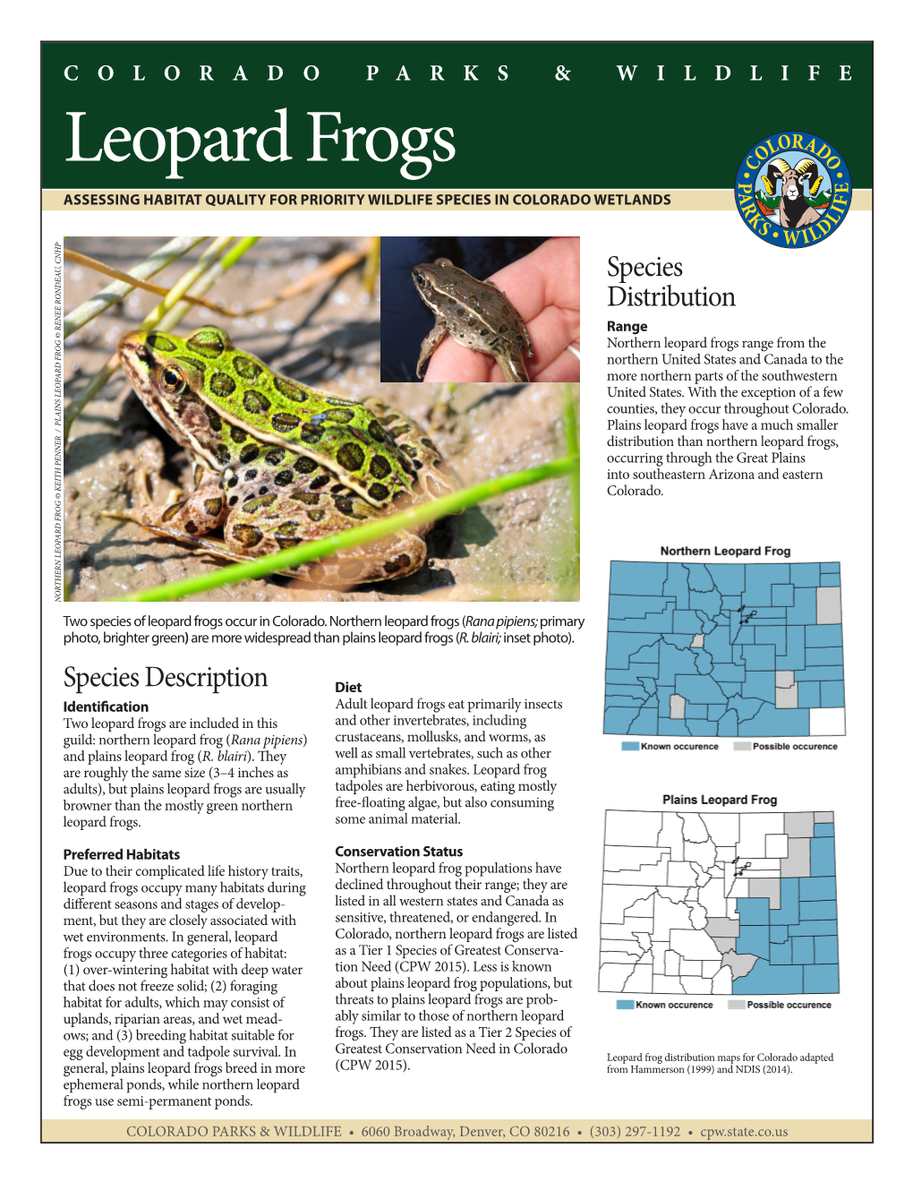 Leopard Frogs ASSESSING HABITAT QUALITY for PRIORITY WILDLIFE SPECIES in COLORADO WETLANDS