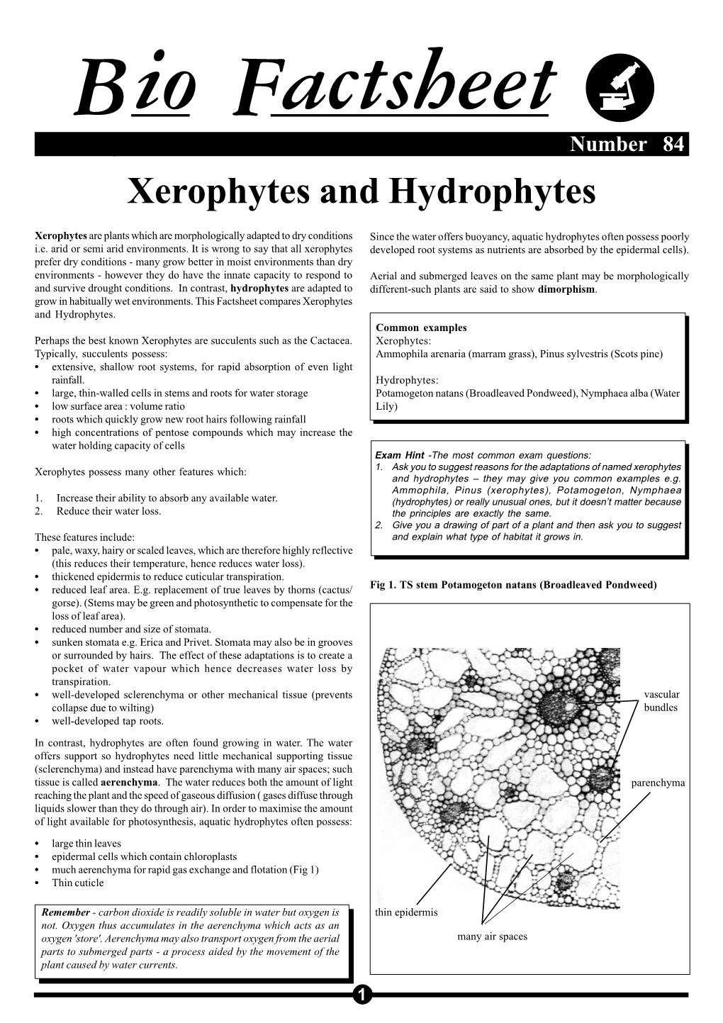 Xerophytes and Hydrophytes