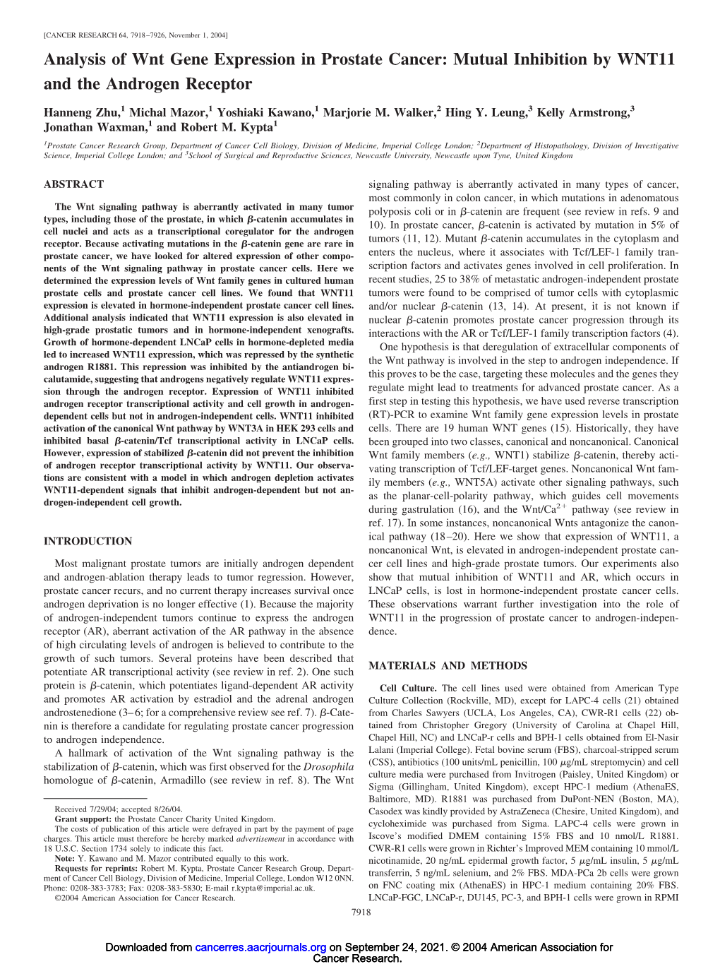 Analysis of Wnt Gene Expression in Prostate Cancer: Mutual Inhibition by WNT11 and the Androgen Receptor