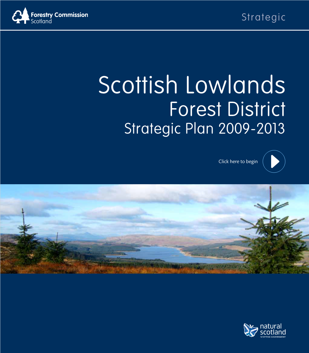 Scottish Lowlands Forest District Strategic Plan 2009-2013