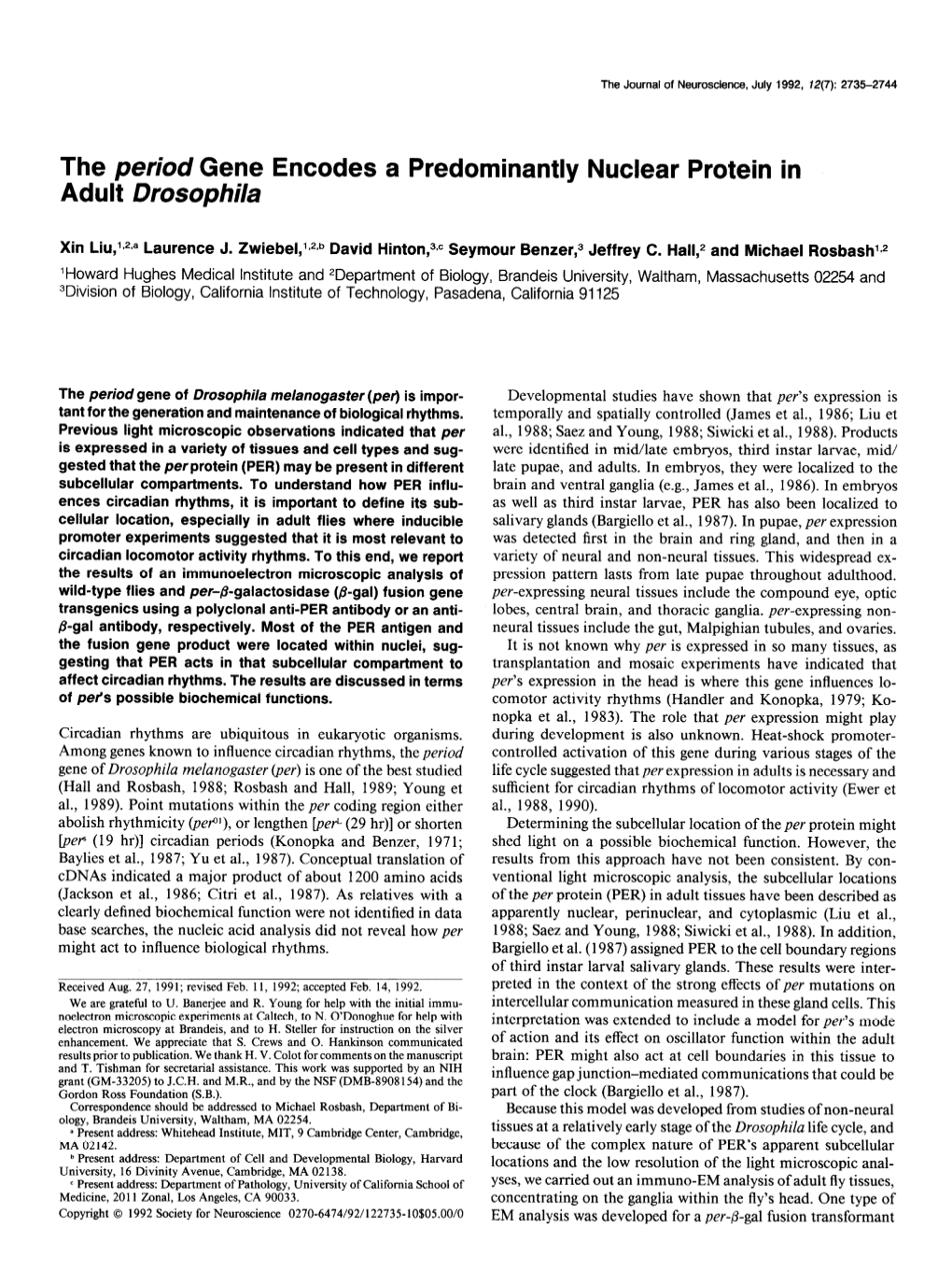 The Period Gene Encodes a Predominantly Nuclear Protein in Adult Drosophila