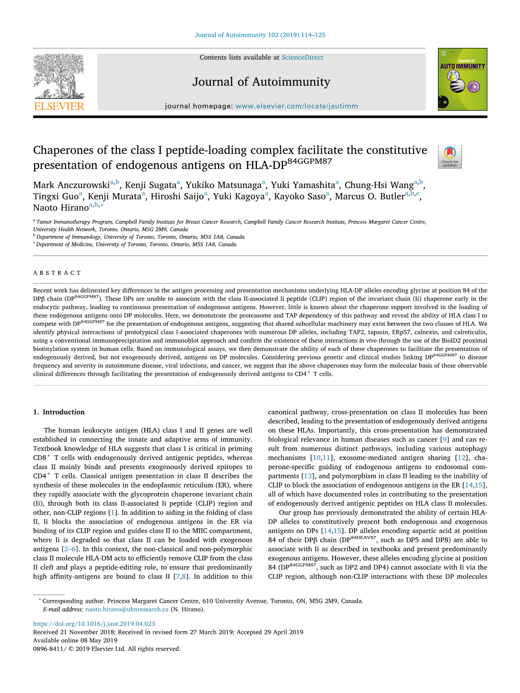 Chaperones of the Class I Peptide-Loading Complex Facilitate the Constitutive Presentation of Endogenous Antigens on HLA-DP84GGPM87 T