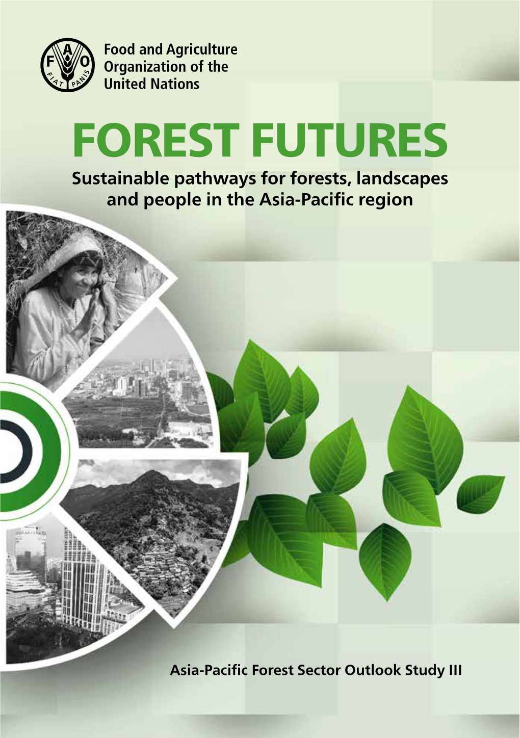 Asia-Pacific Forest Sector Outlook Study III