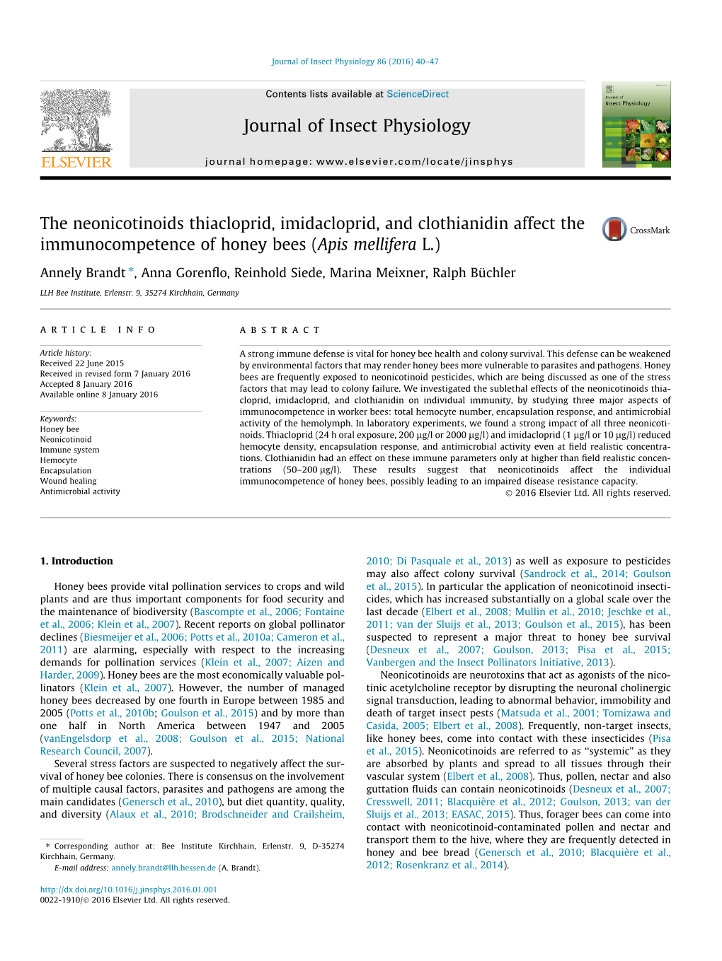 The Neonicotinoids Thiacloprid, Imidacloprid, and Clothianidin Affect