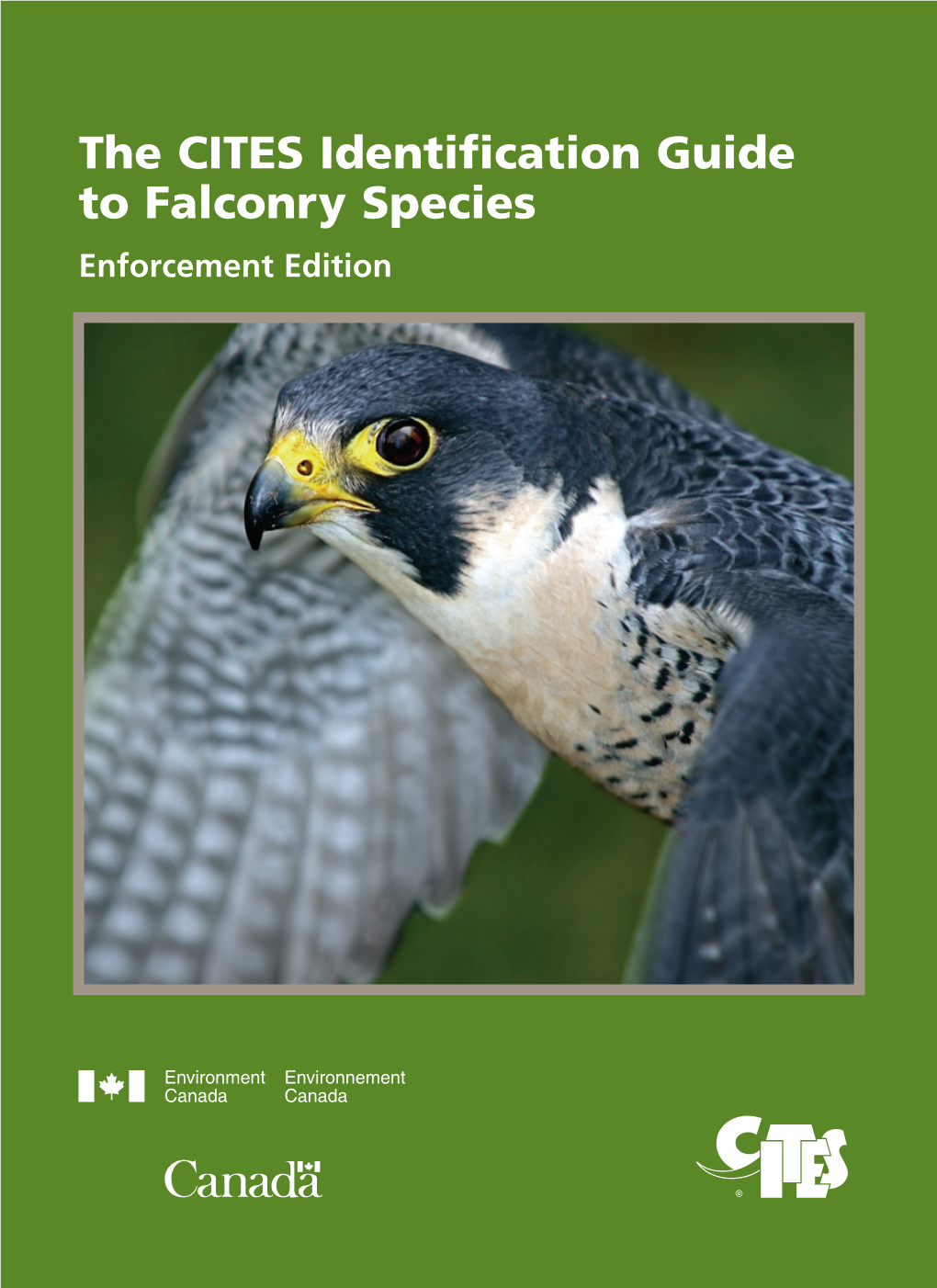 The CITES Identification Guide to Falconry Species Enforcement Edition