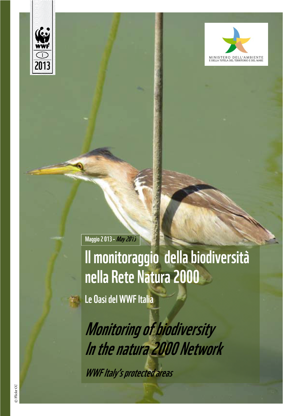 Monitoring of Biodiversity in the Natura 2000 Network