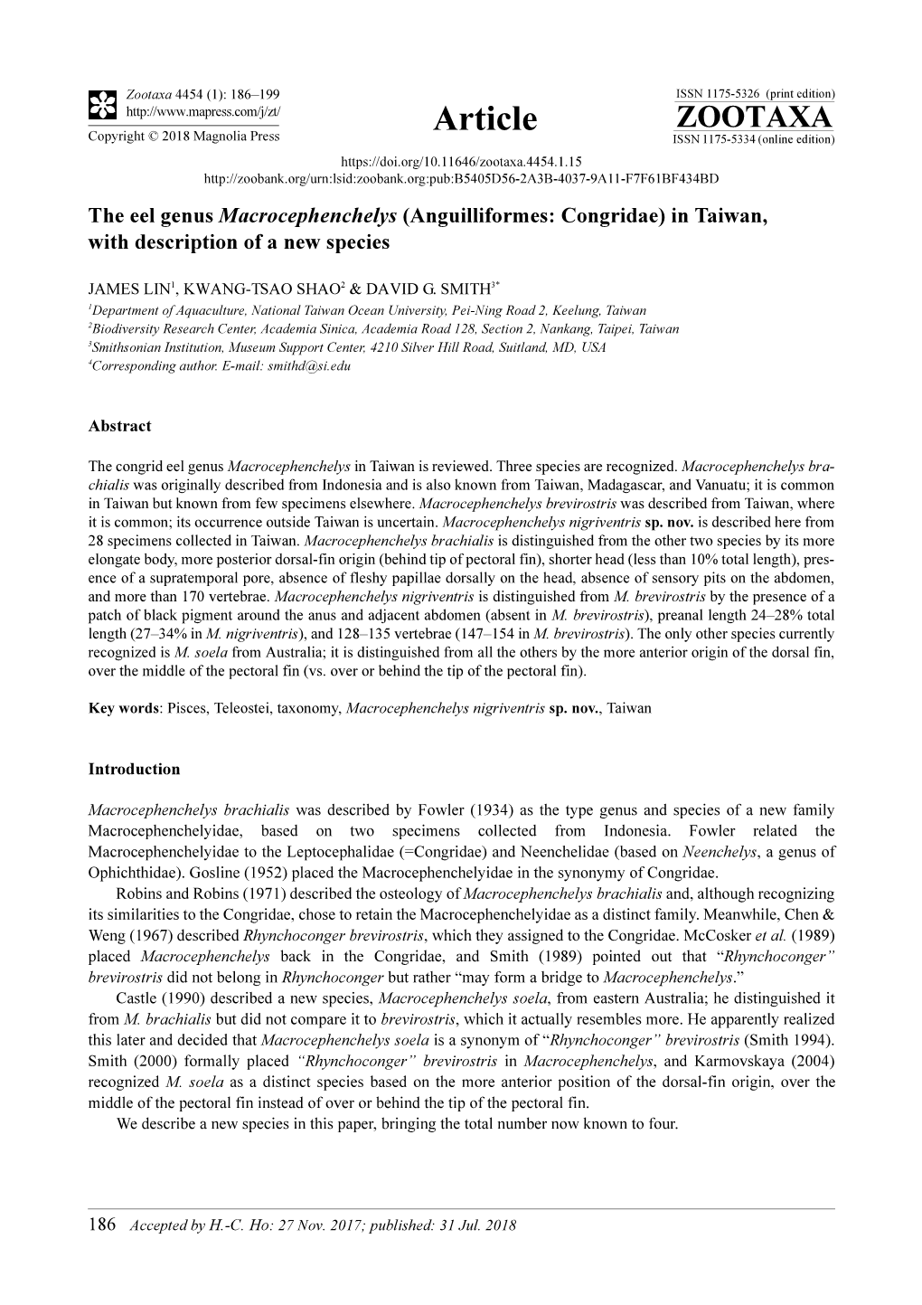 The Eel Genus Macrocephenchelys (Anguilliformes: Congridae) in Taiwan, with Description of a New Species