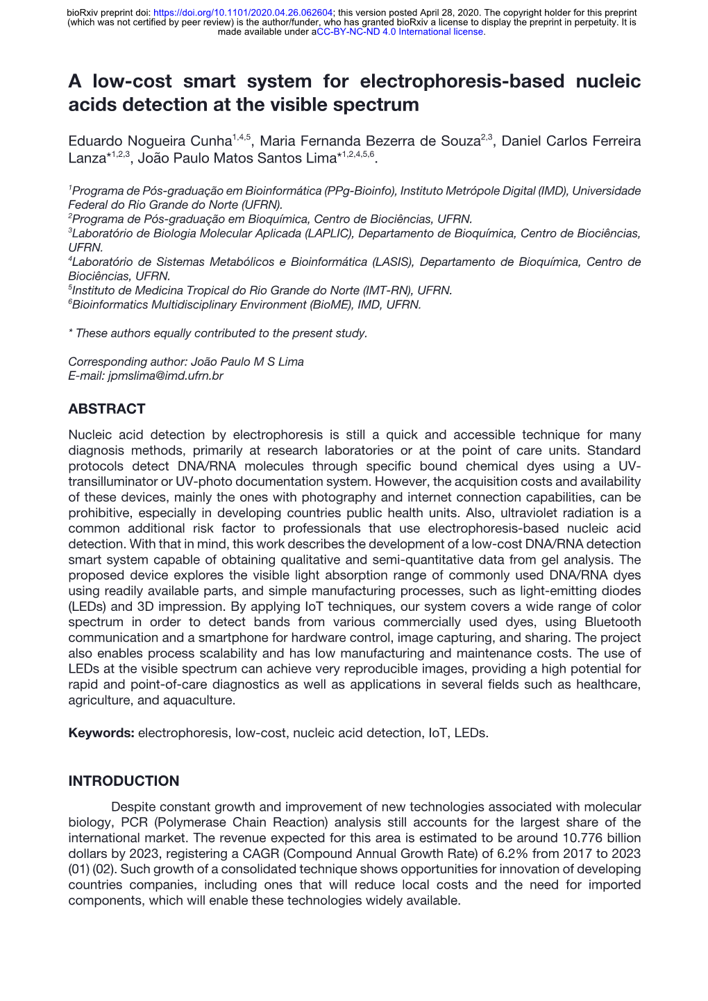 A Low-Cost Smart System for Electrophoresis-Based Nucleic Acids Detection at the Visible Spectrum