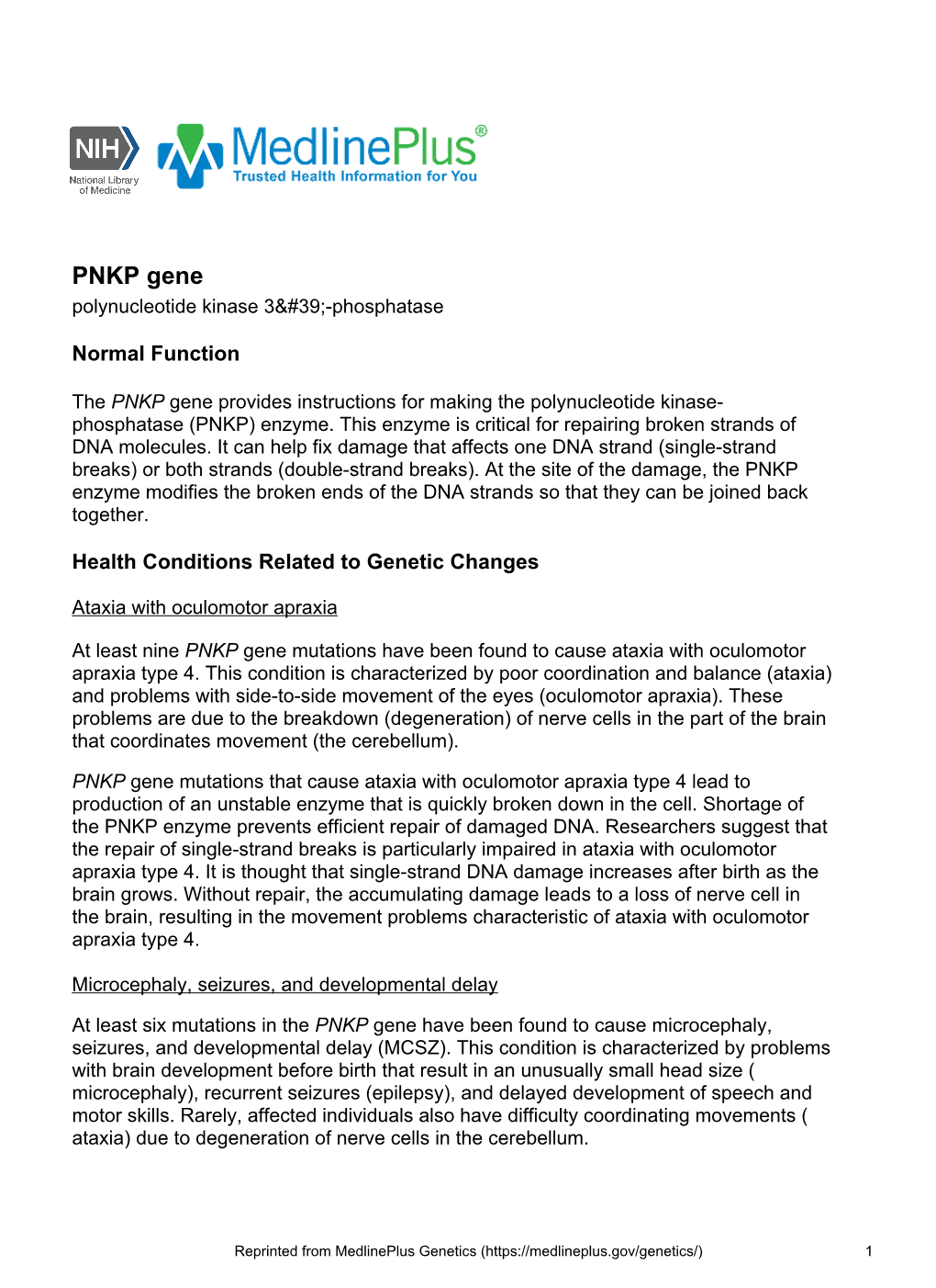 PNKP Gene Polynucleotide Kinase 3-Phosphatase