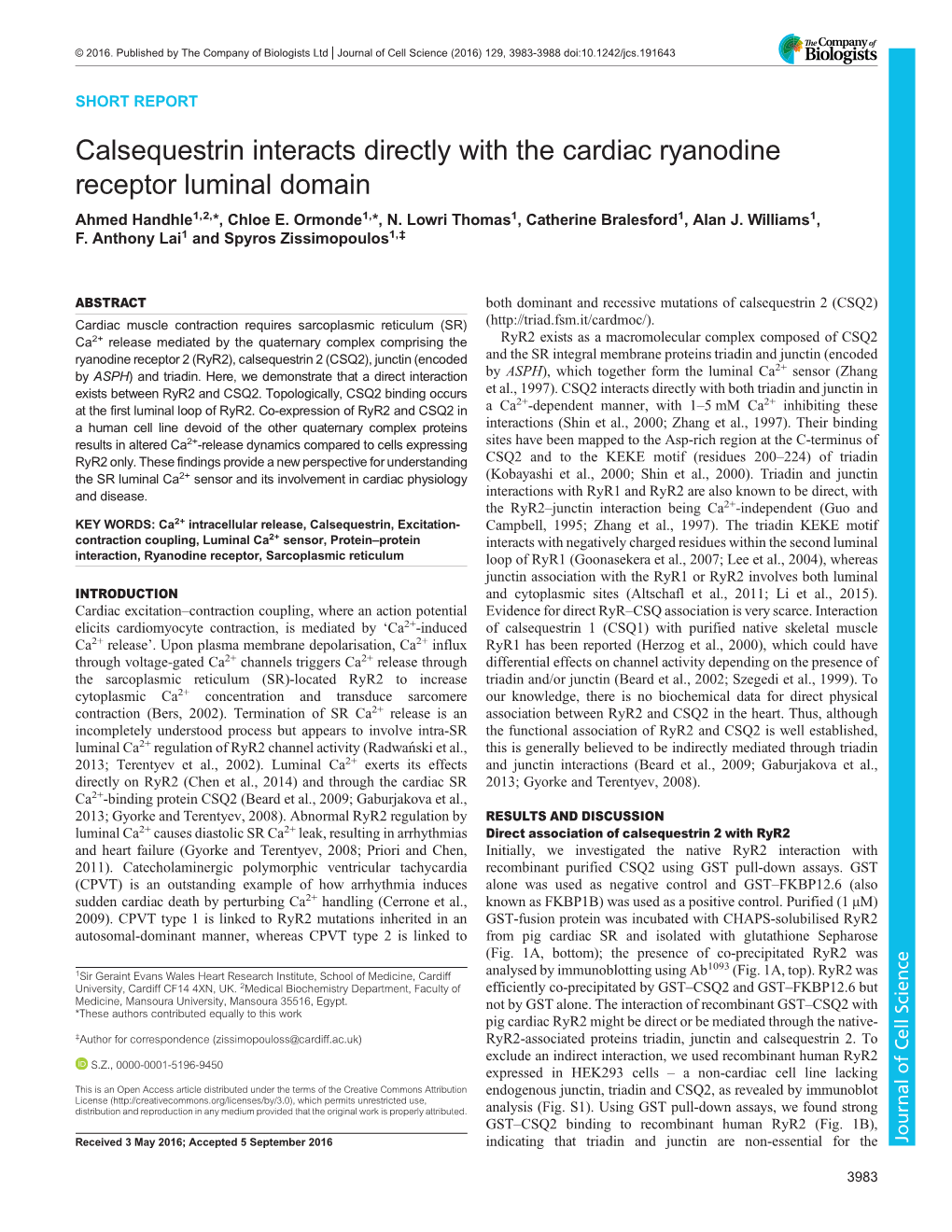 Calsequestrin Interacts Directly with the Cardiac Ryanodine Receptor Luminal Domain Ahmed Handhle1,2,*, Chloe E