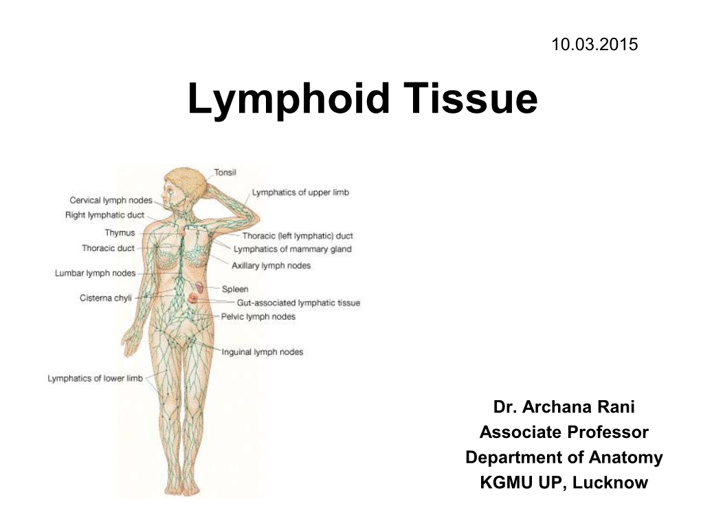 Lymphoid Tissue [PDF]