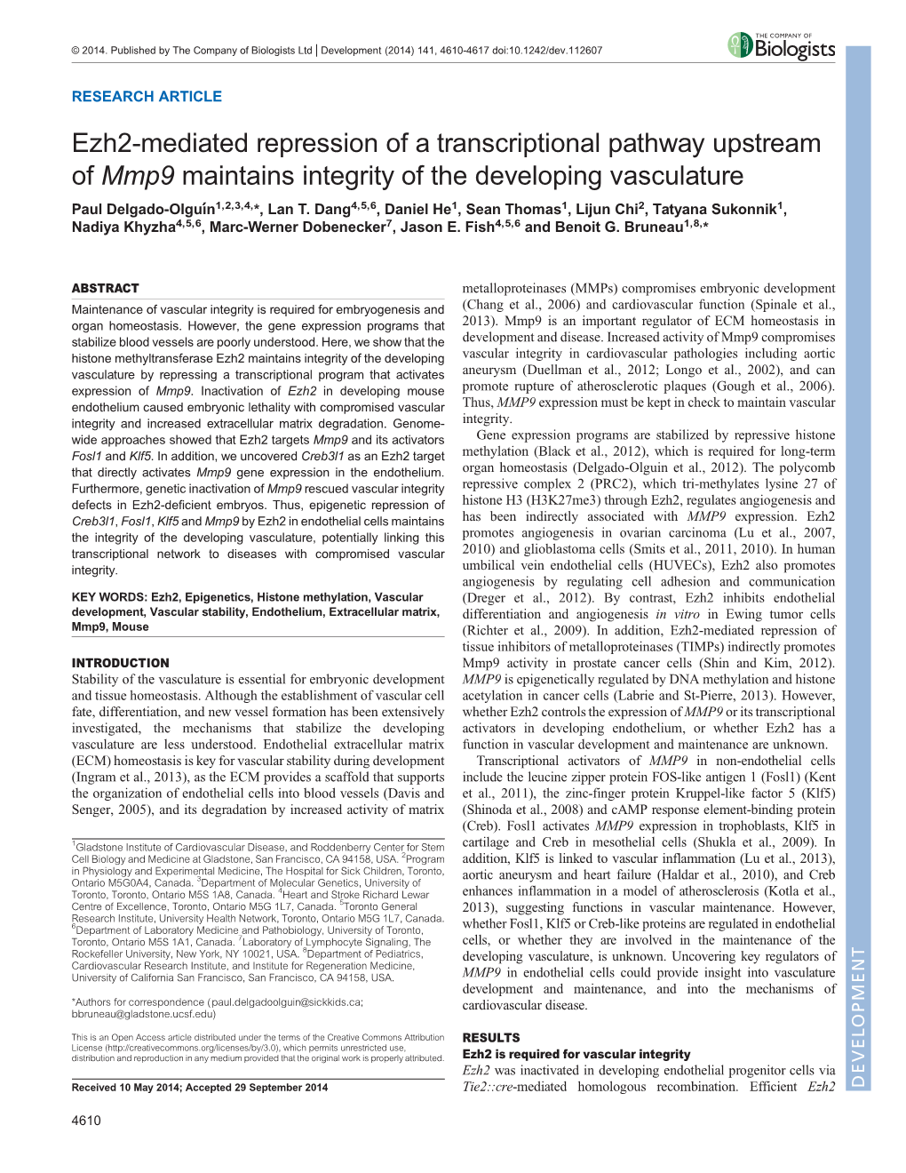 Ezh2-Mediated Repression of a Transcriptional Pathway Upstream of Mmp9 Maintains Integrity of the Developing Vasculature Paul Delgado-Olguıń1,2,3,4,*, Lan T