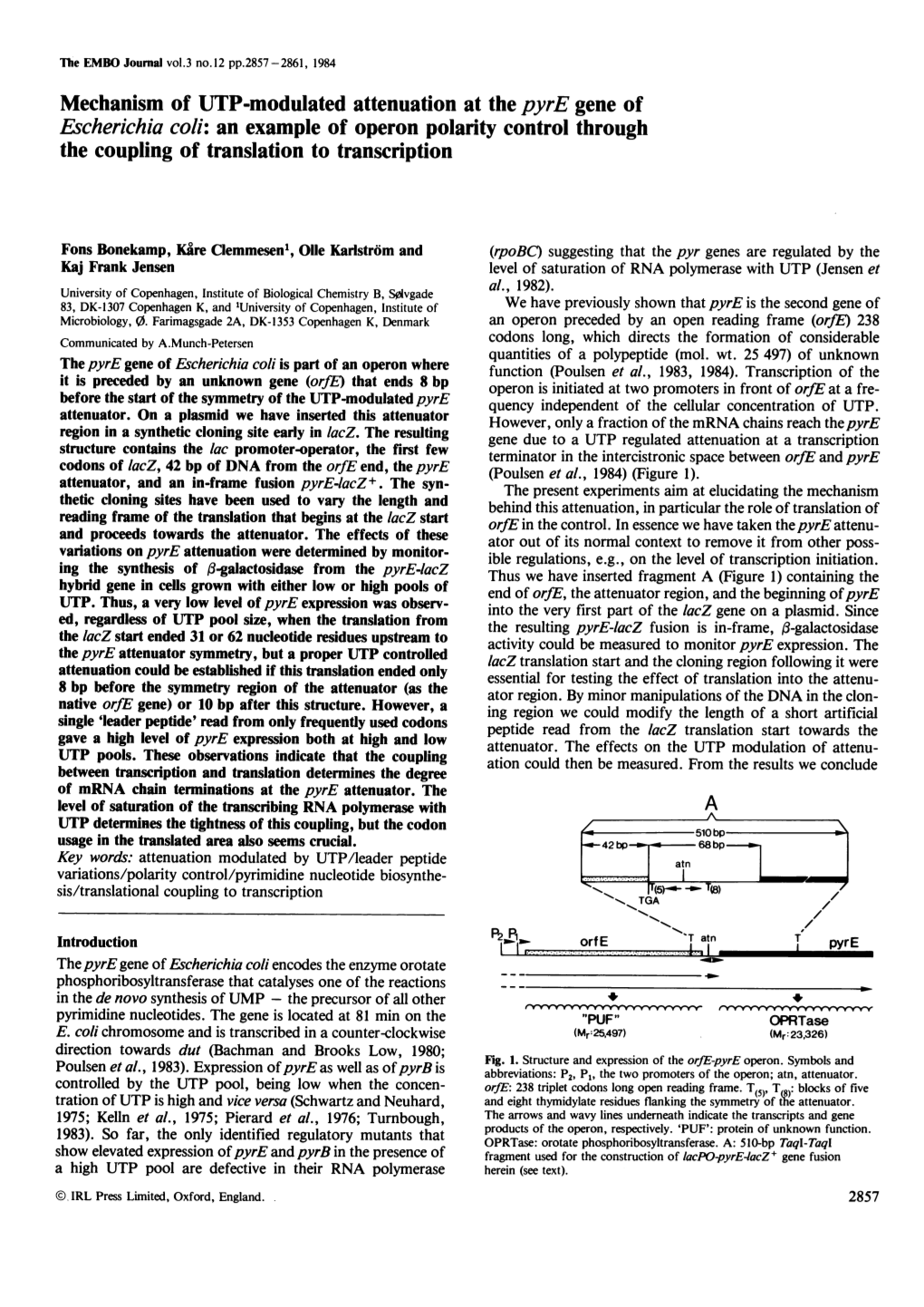 Mechanism of UTP-Modulated Attenuation at the Pyre Gene Of