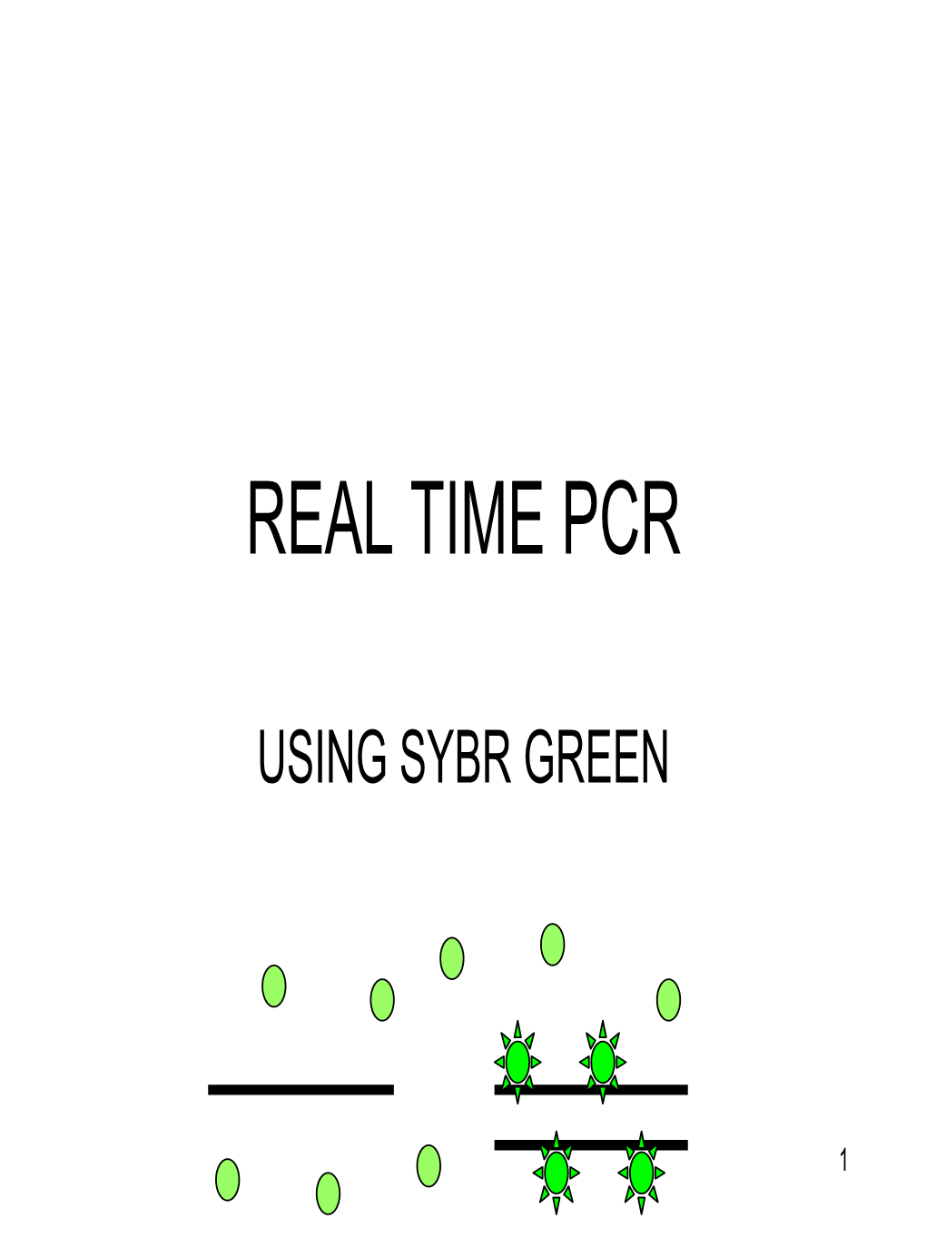 Real-Time PCR Tutorial