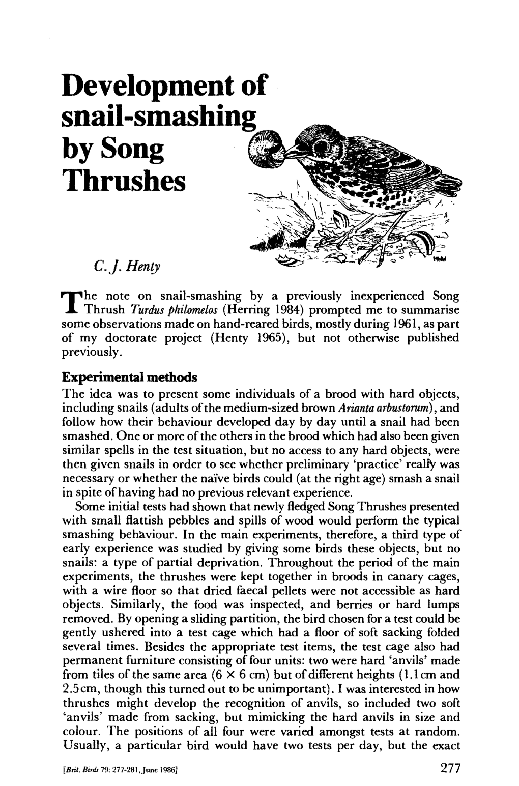 Development of Snail-Smashing Bysong ^ Thrushes